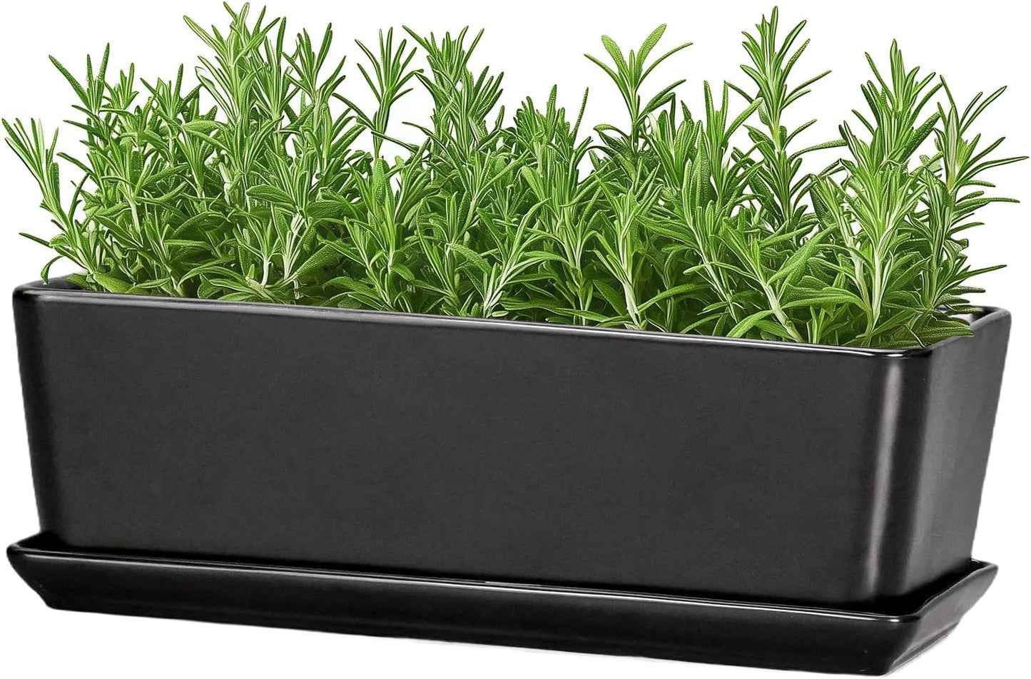 SQOWL Rectangle Planter - 10 Inch Ceramic Plant Pots with Drainage Hole and Saucer, Rectangular Succulent Planters for Indoor Plants, Flower Cactus Herb Pots Outdoor, Room Decor, Garden Gifts, Black