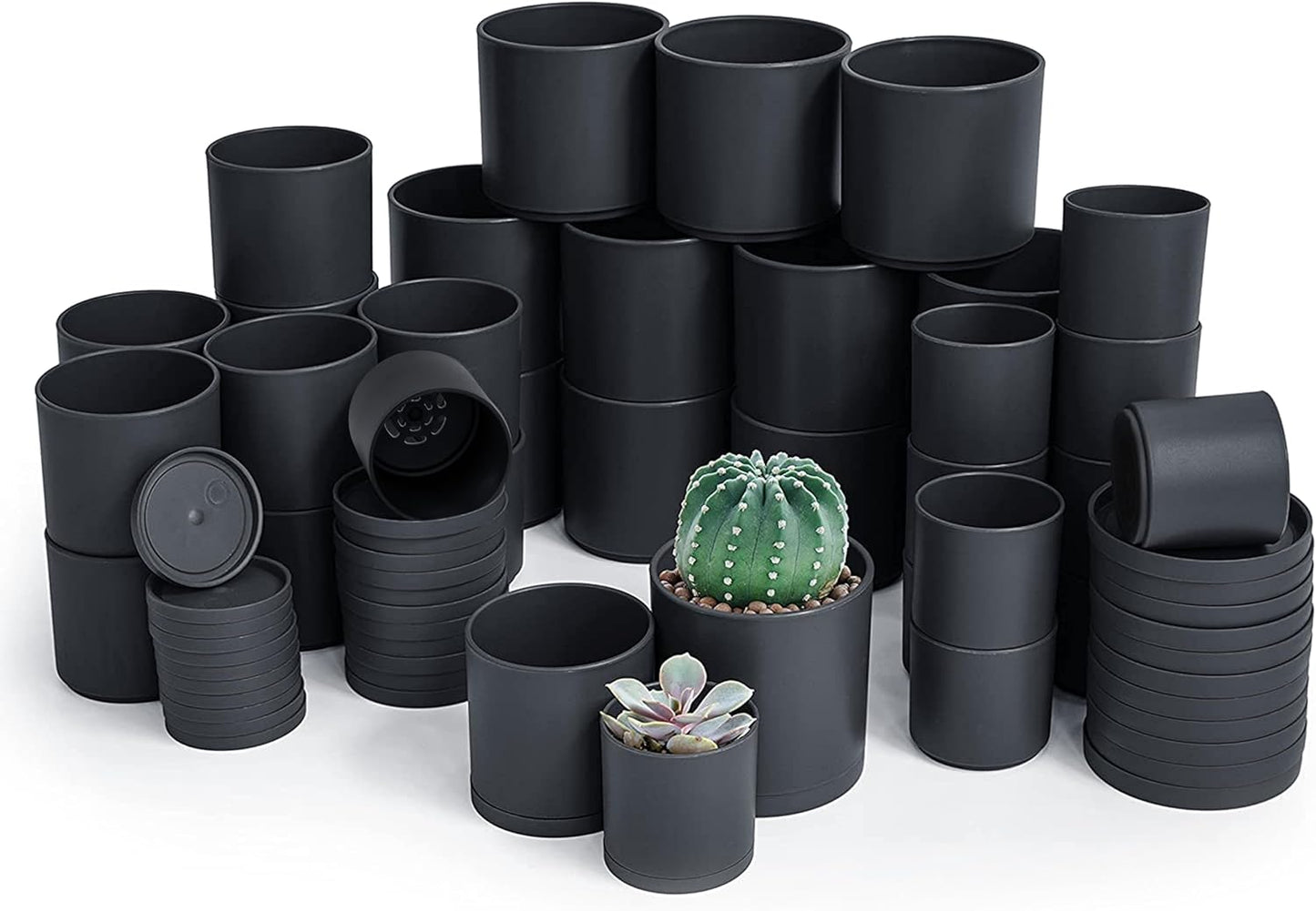 D'vine Dev Pack of 36 Plastic Plant Pots (12 Set of 2 Inch, 2.5 Inch, 3 Inch) Small Garden Planter Pots for Plant with Drainage Holes and Saucers, Black, 74-T-B