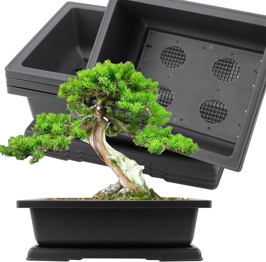 KINJOEK 3 PCS 14 Inch Plastic Bonsai Pots, Large Bonsai Training Pot with Drainage Trays, Rectangular Plant Bonsai Tree Pots for Garden, Indoor, Home Decorative