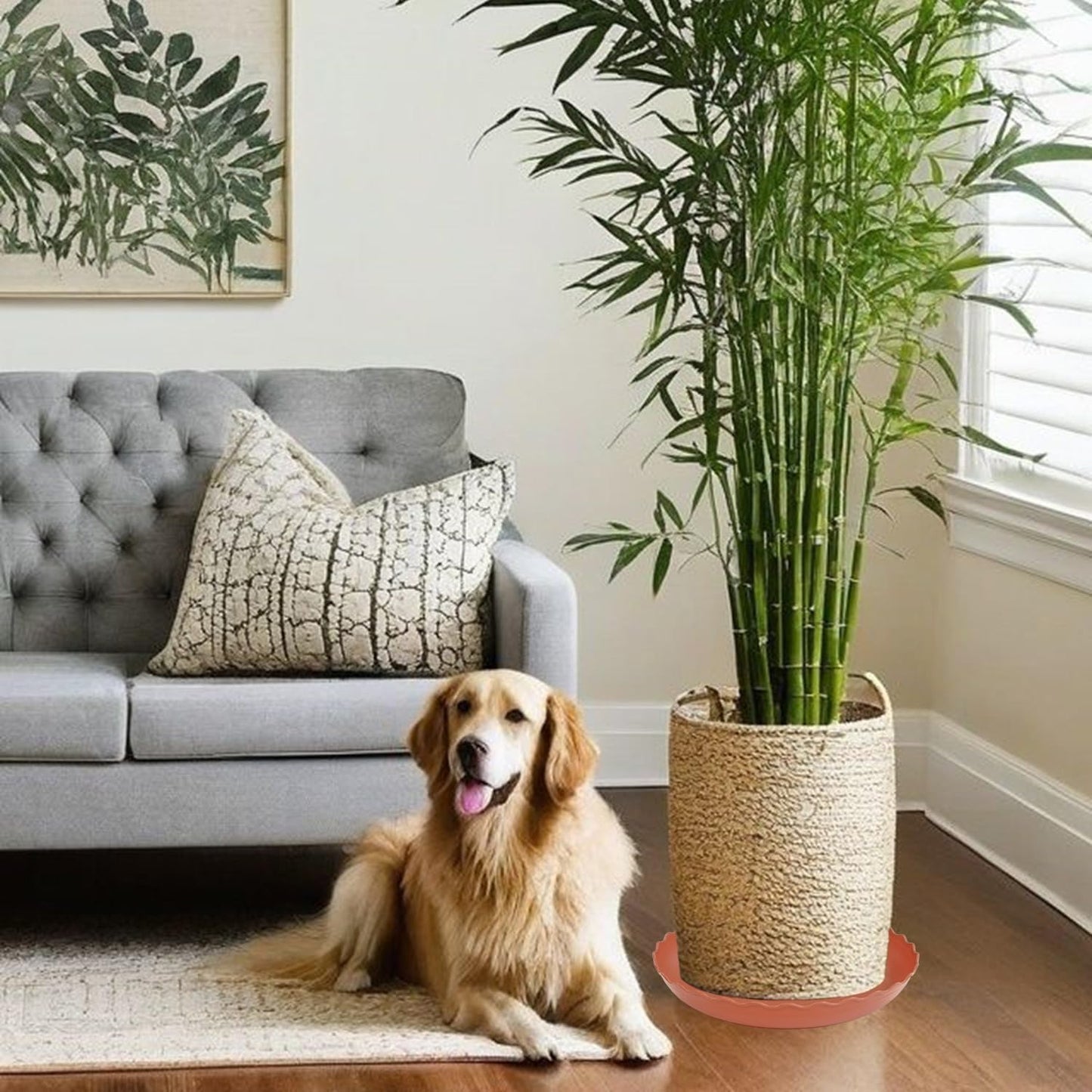 2 Pack of 14 inch Plant Saucer Plant Tray, Plastic Plant Saucer, Heavy Duty Plant Tray for Pots, Plant Saucers for Indoors Planter, Garden Water Plate Bowls for Gallon Grow Bags (Terracotta)