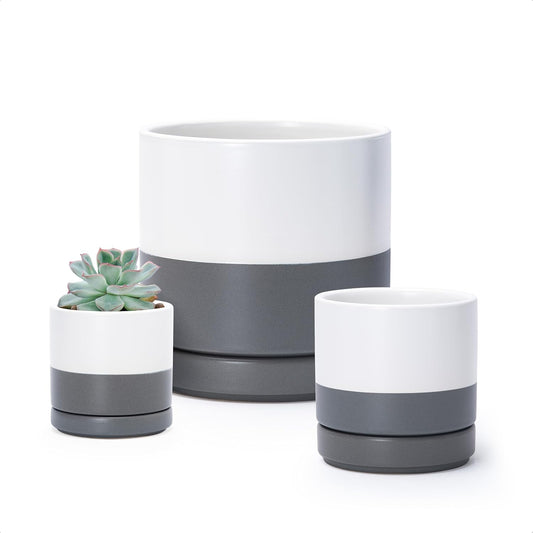 D'vine Dev 3 Inch & 4 Inch & 6 Inch, Set of 3 Round Ceramic Planter Pot with Drainage Hole and Saucer, White/Speckled Grey, 94-T-S-6