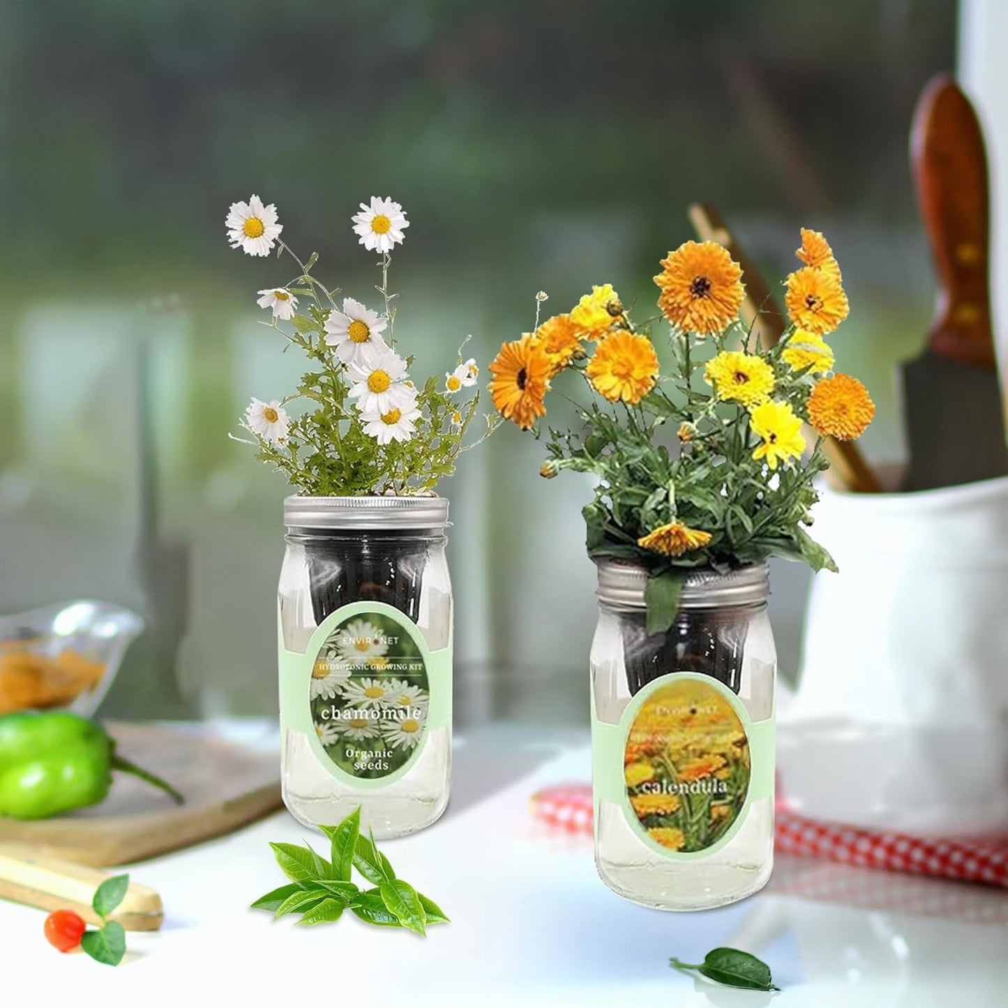 2-Pack Hydroponic Mason Jar Herb Garden Kit, Indoor Herb Garden Self-Watering Starter Kit (Calendula,Chamomile)