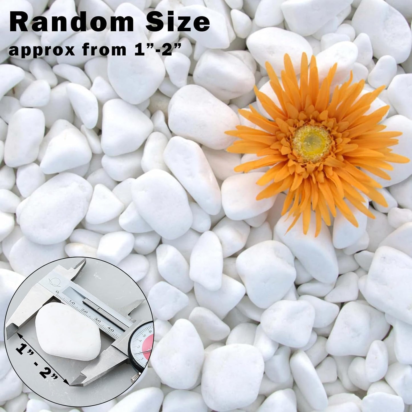 11Lbs Natural River Rocks for Plants 1''-2'' Large Landscaping Garden Stones White Aquarium Gravel for Decorative Pebbles for Indoor Outdoor Planters, Big Terrarium Rocks in Bulk, Home Decor