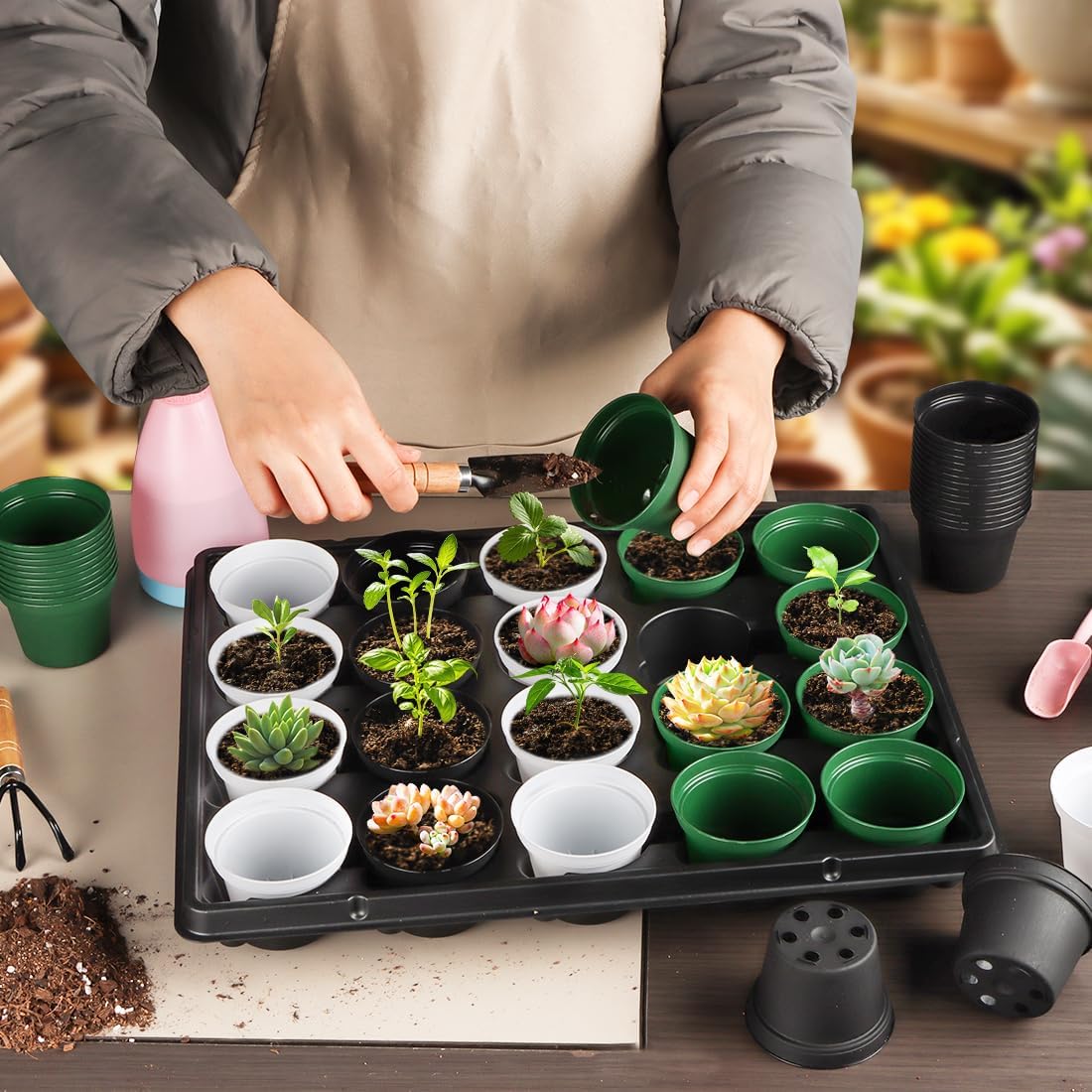 60 Pack 3 Inch White Nursery Pots - Plastic Seedling, Seed Starter, Germination Pots with Drainage for Plants, Succulents, Flowers, Transplanting Gardening Gifts