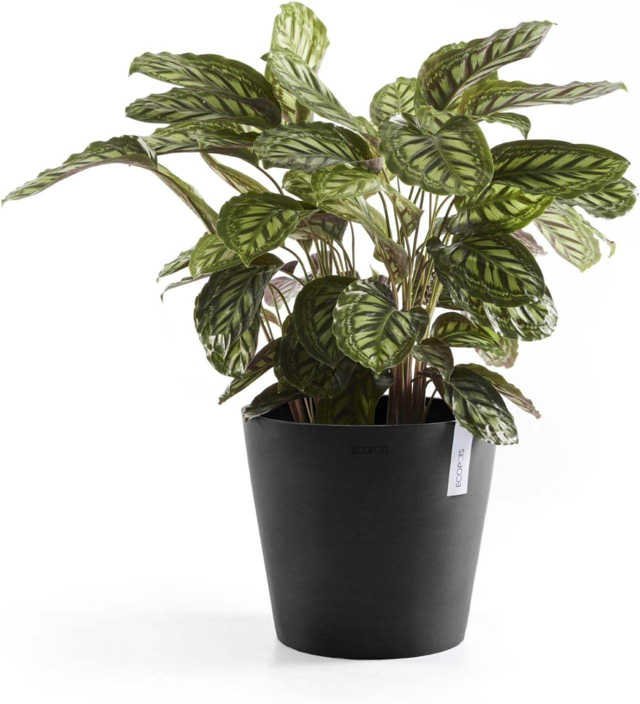 Ecopots Amsterdam Durable Modern Round Indoor/Outdoor Recycled-Based Composite Flower Pot Planter, Dark Grey, 10"