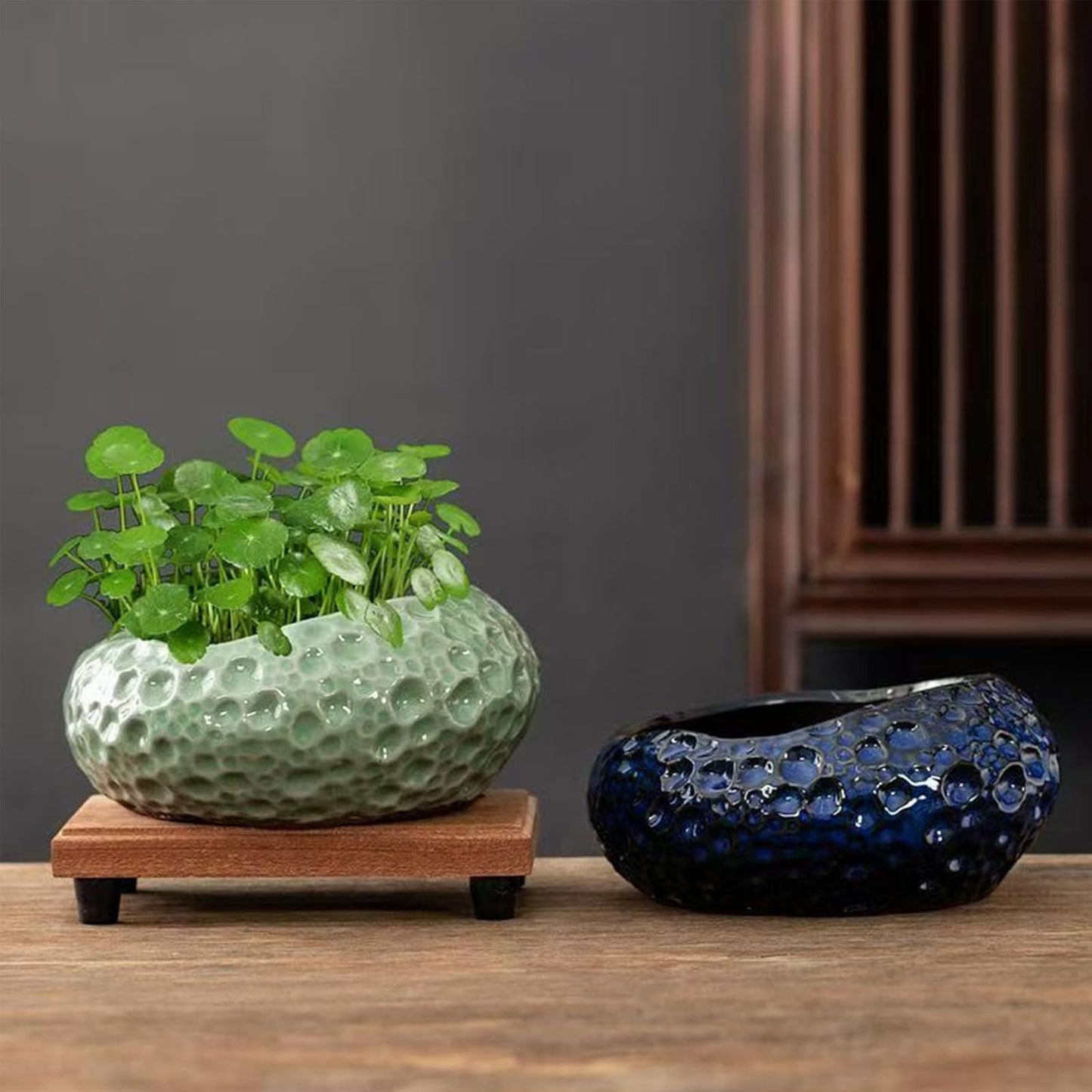 Lotus Bowl Planter, Lotus Bowls for Planting in Water Indoors, Ceramic Planters for Indoor Plants, Thickened Round Planter, for Succulent Plants Leak-Proof Design (Blue Planet)