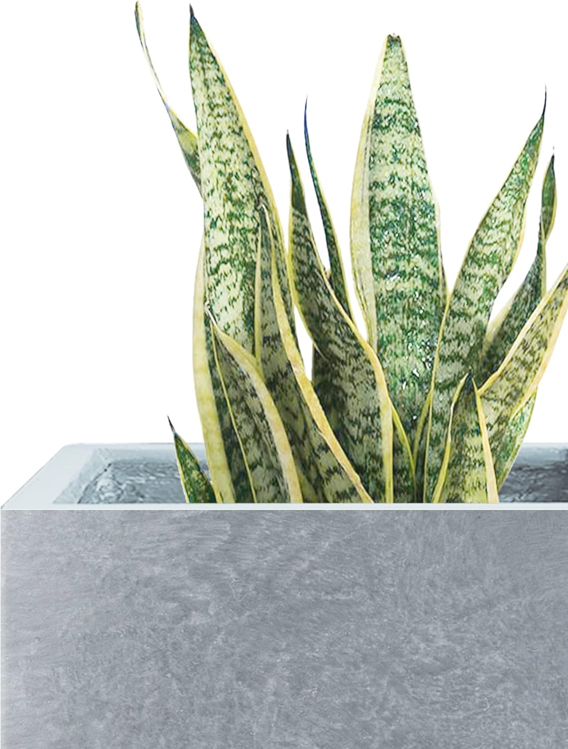Kante 18.5" H Tall Rectangular Concrete Planters, Outdoor Indoor Lightweight Plant Pots with Drainage Hole and Rubber Plug, Modern Style for Home Garden Patio, Slate Gray