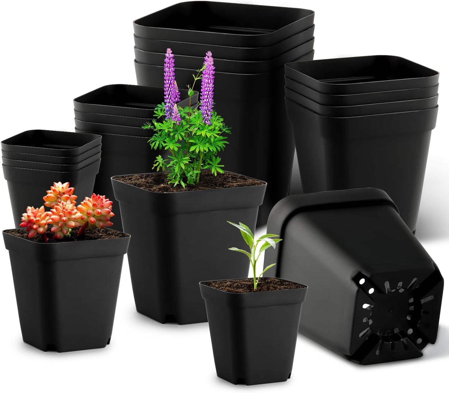 Square Nursery Pots Clearance (2.7", 3", 3.5", 4") with Drainage Holes 20 Pcs, Plastic Seed Starting Pots, Sturdy and Durable Seedling Pots for Planting, Cuttings and Transplanting, Black