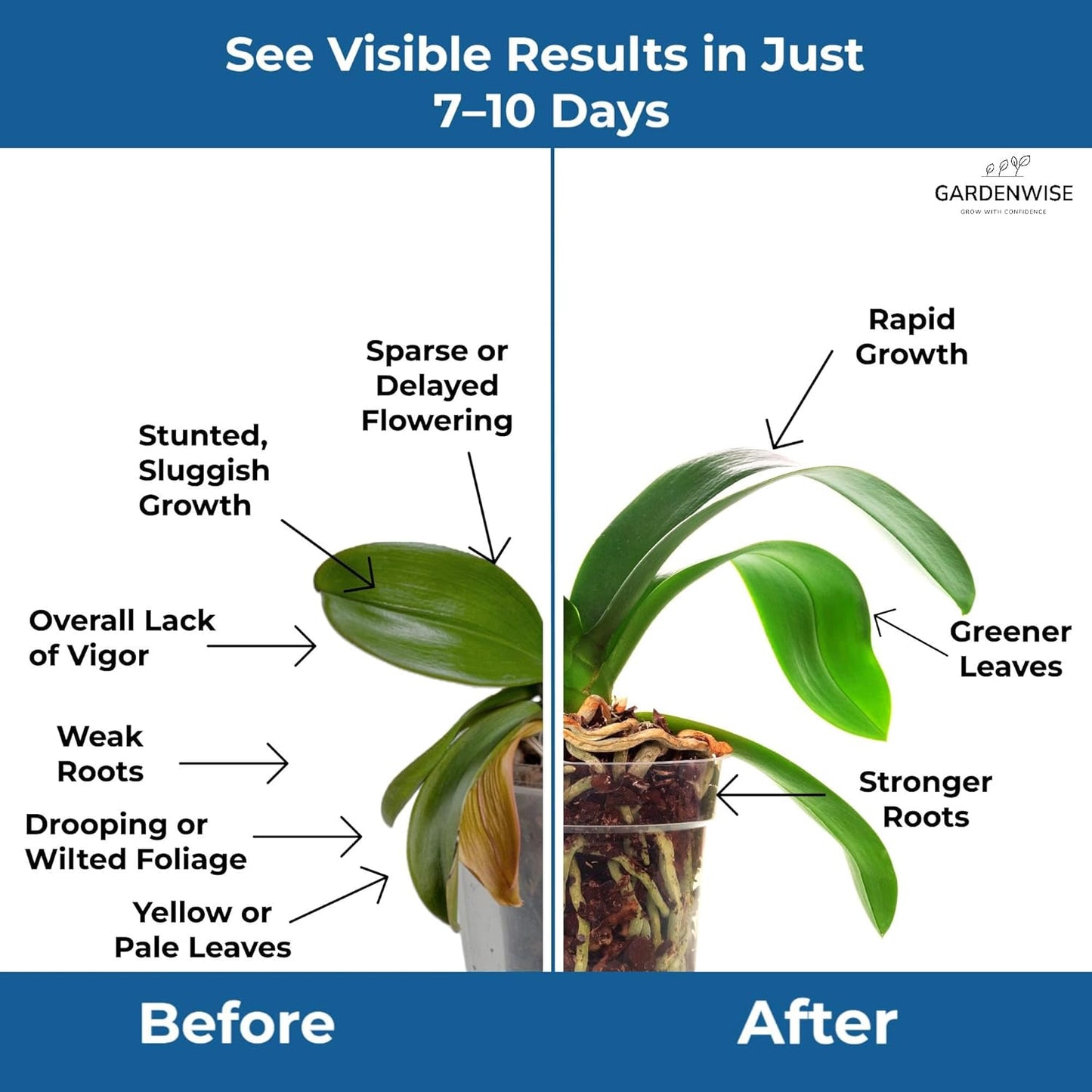 20-20-20 Water-Soluble Fertilizer – Powder for Liquid Plant Food for Indoor & Outdoor Plants, Orchids, Vegetables, Lawns, Flowers – 20 20 20 Fertilizer 2 Quarts (4 lbs)