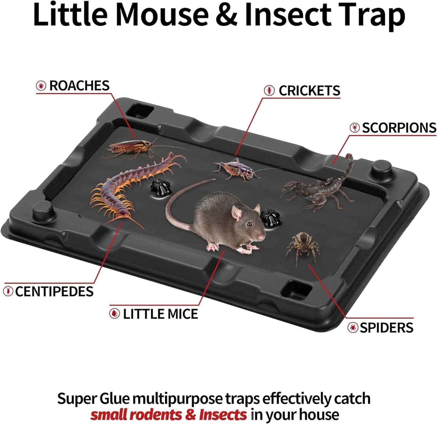 LULUCATCH Mouse & Insect Glue Traps, 10 Pack Pre-Scented Sticky Mouse Traps Indoor for Home, Non-Toxic Glue Boards for Mice, Cricket, Roach, Lizard, Bug, Pet Safe for House & Garage