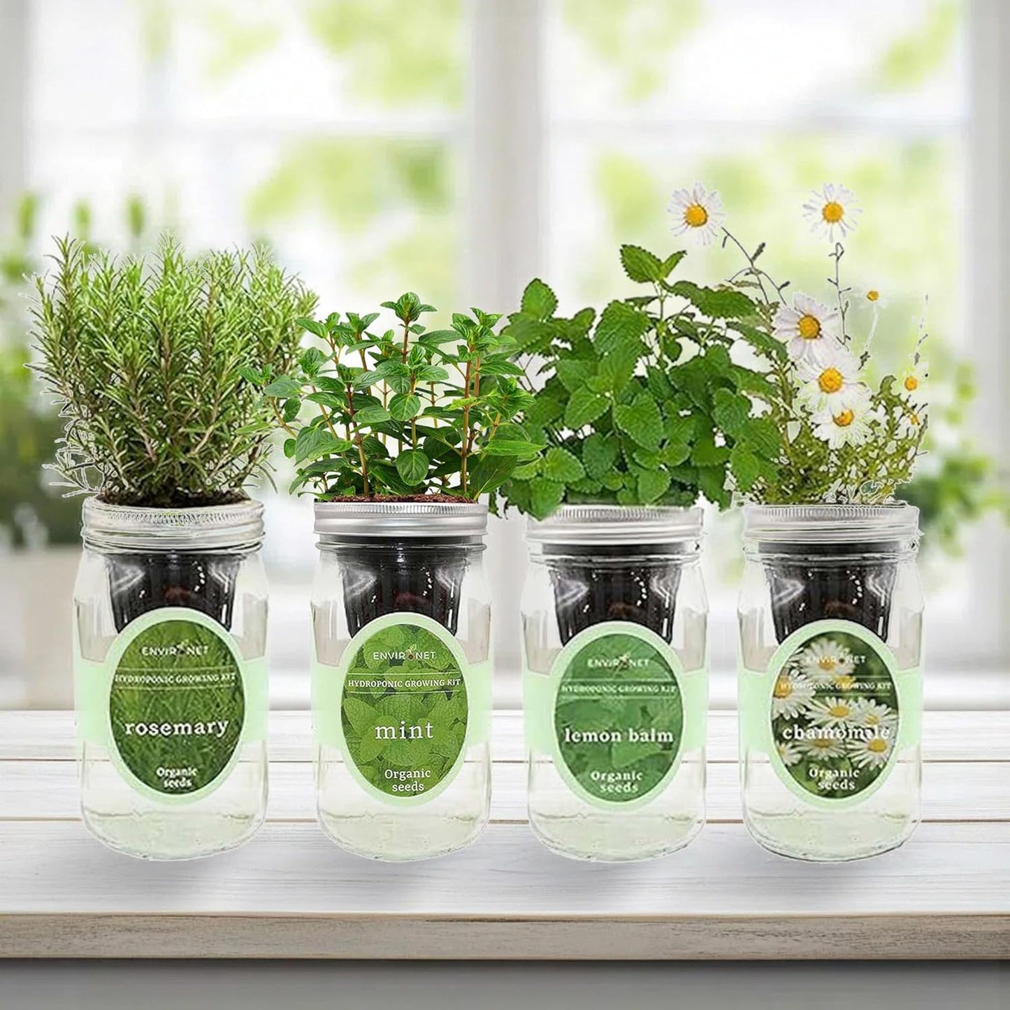 Hydroponic Mason Jar Organic Herbal Tea Seed Starter Kits - Herbal Tea Garden Growing Kits, Gardening Gift, Grow Your Own Herbal Teas Indoor (Chamomile, Mint, Lemon Balm, Rosemary)