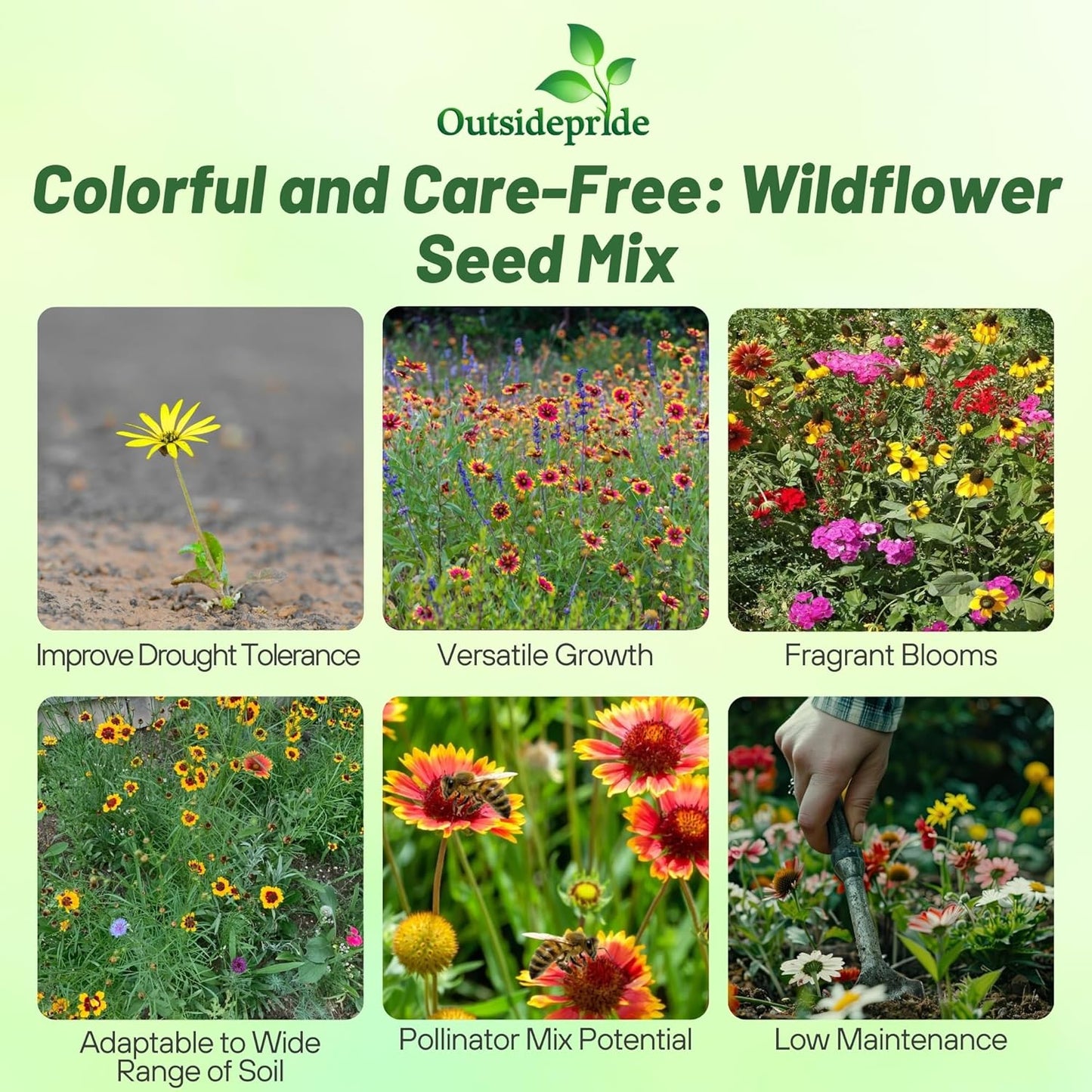 Outsidepride Southeast Wildflower Seed Mix - 1/4 lb Highly Adaptable, Easy to Grow, Low-Maintenance Mix of Annual & Perennial Wildflower Seeds for Natural Landscapes in Southeastern States