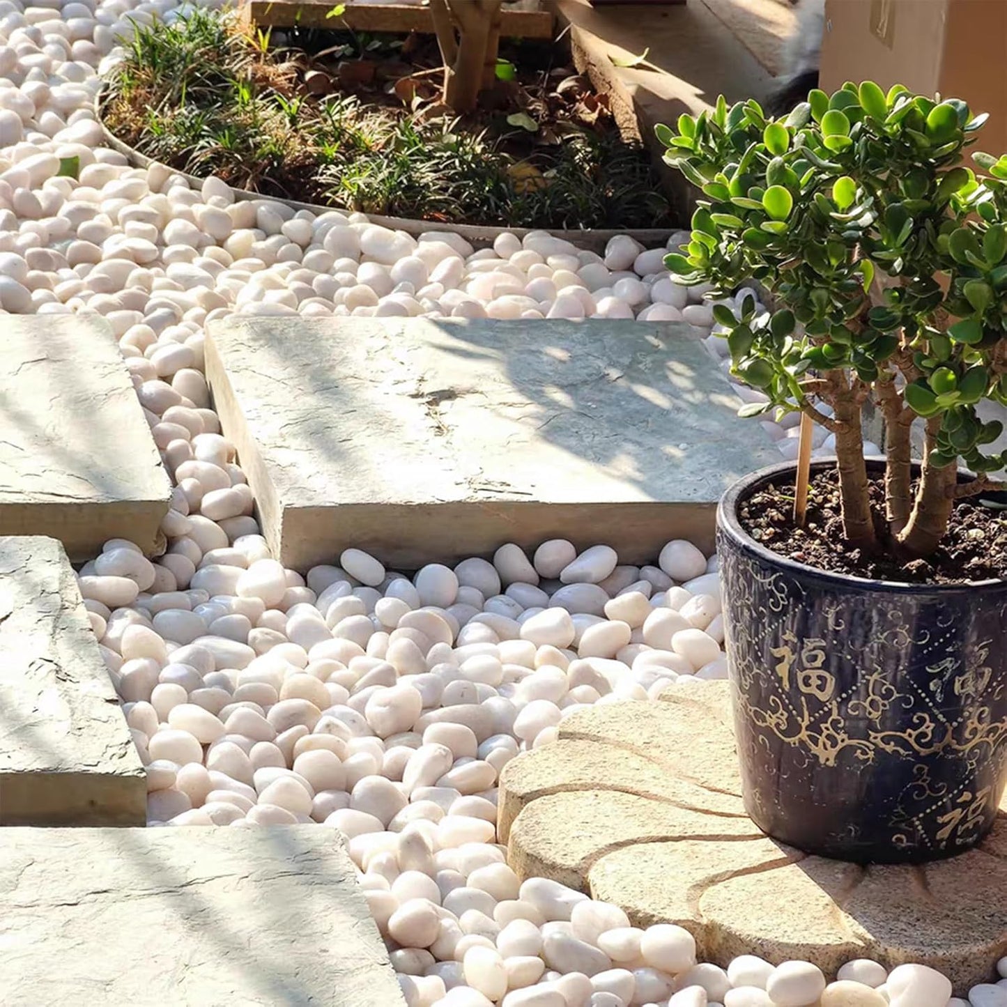 5lbs White Pebbles for Indoor Plants, 0.8-1.2 Inch Smooth White River Rocks for Potted Plants, Decorative Polished Stones for Landscaping Vase Fish Tank and Outdoor Garden Pavers