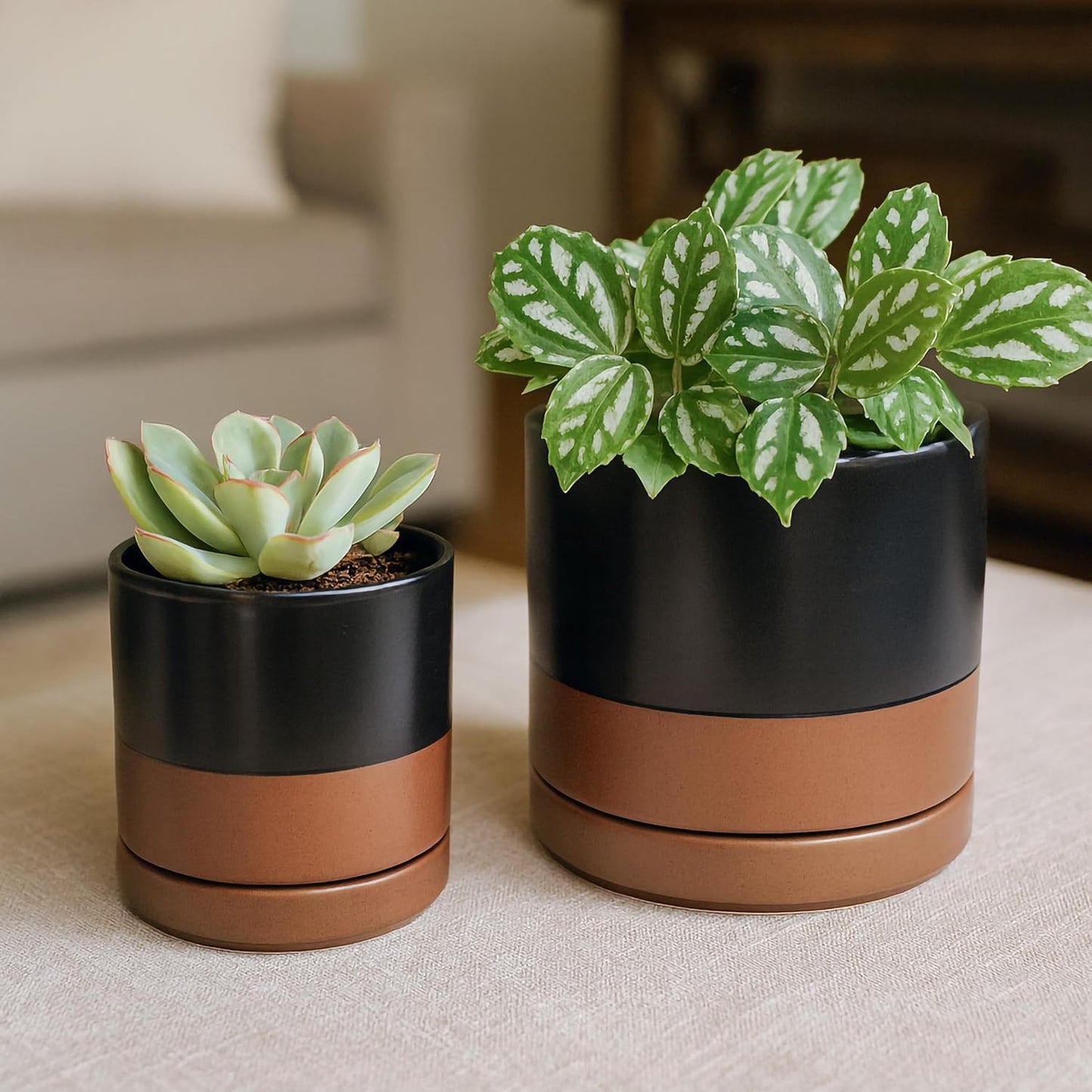 D'vine Dev 3.5 Inch & 4.7 Inch Ceramic Planter Pots for Plants with Drainage Hole and Saucer, X-Small Plant Pots Set, Black/Speckled Tan, 94-G-XS-7