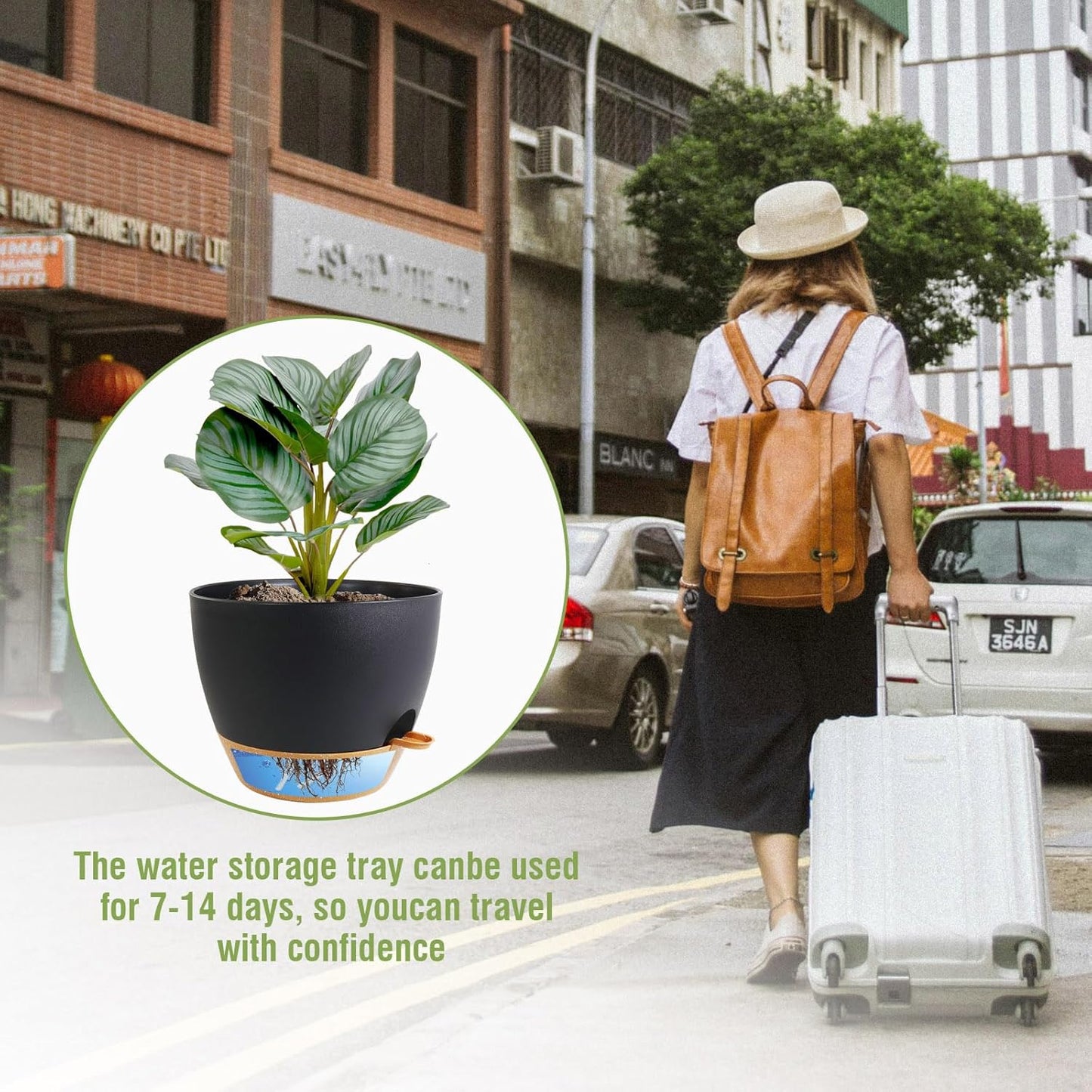 10 inch Self Watering Pots, 2 Pack Plastic Planters with Mesh Drainage Holes for Garden Plants and Flower, Plants Pots with Deep Reservoir for Indoor Outdoor Plants, Black with Brown