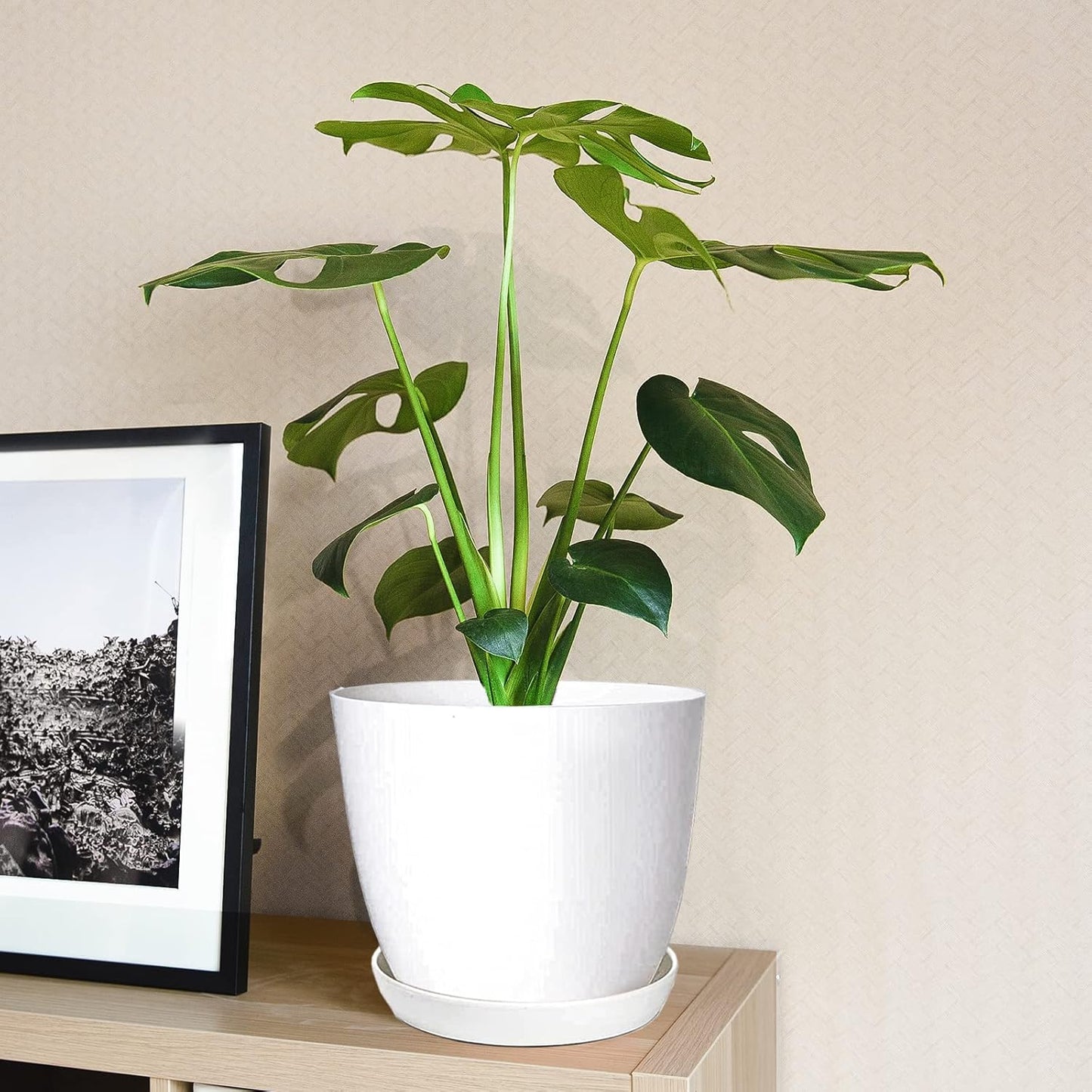 Plant Pots, 12 Pack 6 inch Modern Plastic Planters with Drainage Holes and Saucers for Indoor Outdoor Plants and Flowers, White