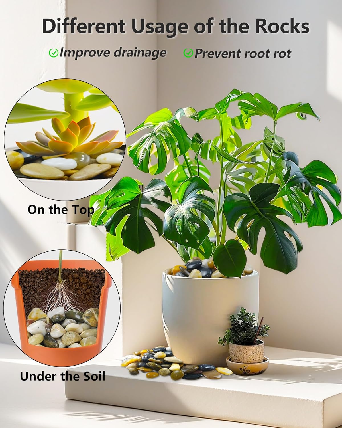 5LB Polished Mixed River Rocks, Natural Decorative Stones for Indoor Outdoor Plants, Succulents, Vases, Fish Tank, Garden Landscaping & Top Dressing Pebbles 1-2.2Inch