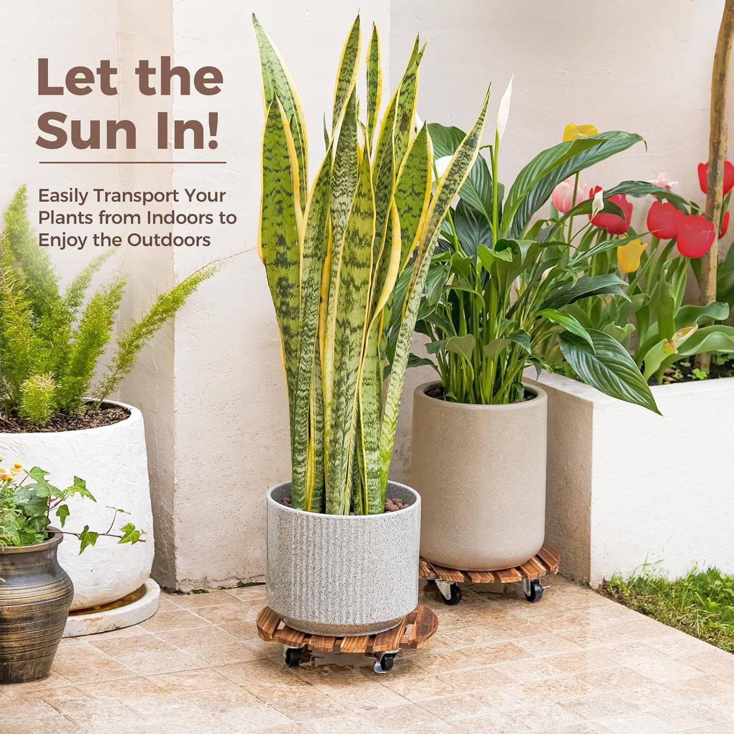 Bamworld 2-Pack 14 Inch Wood Plant Caddy with Wheels – Heavy-Duty Plant Dolly with 240 Lbs Capacity, 360° Lockable Wheels for Large Plant Pots, Heavy Objects, Ideal for Indoor and Outdoor Use