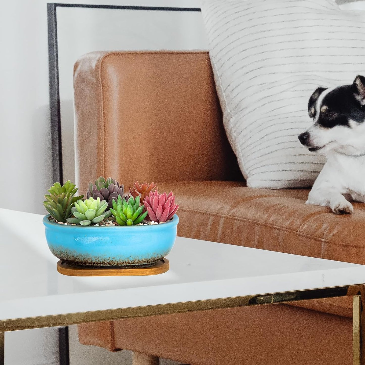 Succulent Pots, 7.9 Inch Long Rectangular Succulent Planters with Drainage Tray, Shallow Planters for Indoor Plants Ceramic Cactus Pots Glazed Bonsai Flower Plant Container for Home Windowsill Decor