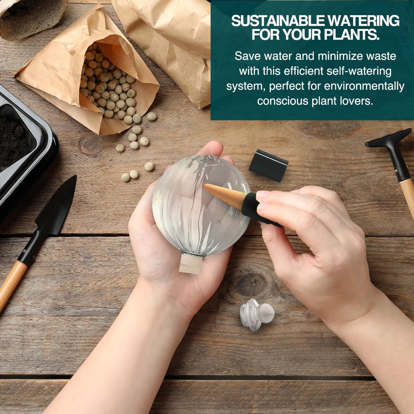 Blumat Glass Plant Self Watering Globes,Automatic Houseplant Drip Irrigation for Indoor Plants, Hanging Plants, Houseplants, Plant Garden Accessories,Vacation Plant Savers,Large Globe Small Adapter