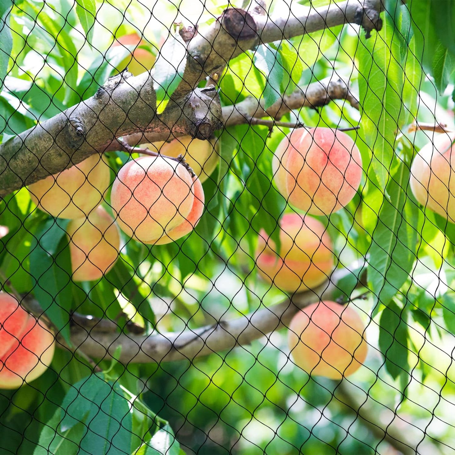 Chicken Netting - 50x 100ft Garden Netting with 1" Square Mesh as Poultry Netting for Chicken Coop Roof, Anti-Hawks and Birds Away and Protect Chicks from Raccoons, Fox and More Wild Animals