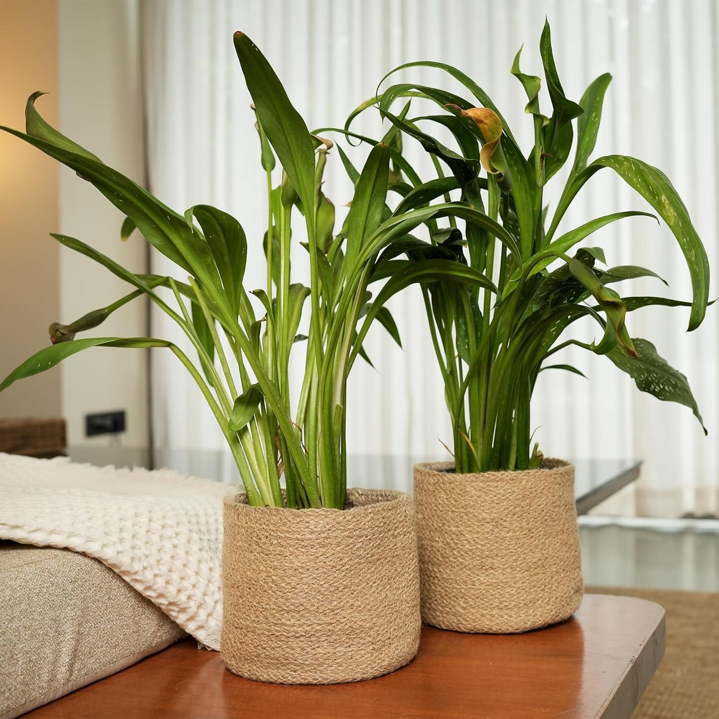 Jute Planter Basket-Woven Jute Rope Covers for Decorating Indoor/Outdoor Succulents, Small Plant Pots-Set of 2-Multi-Purpose Storage Bins 6.5 Inches - Modern Style Décor- Brown