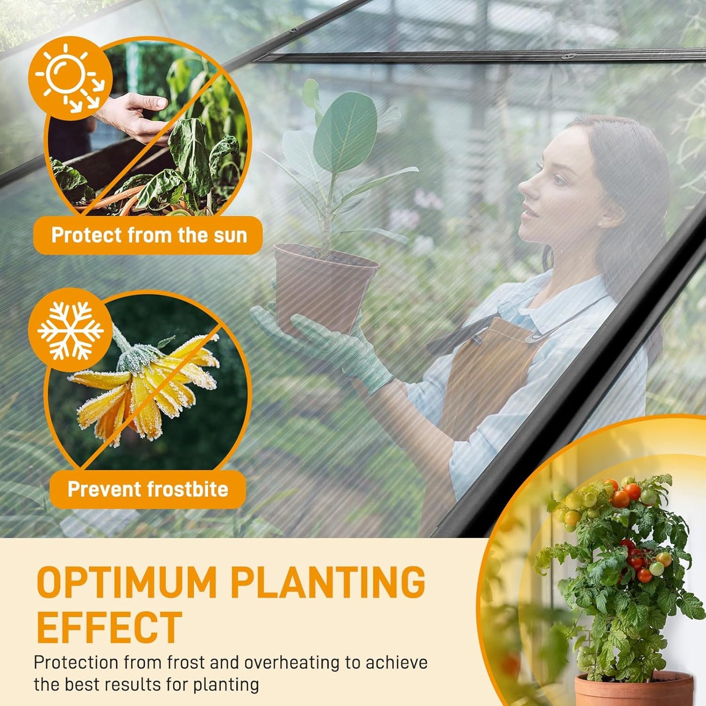 Greenhouse for Outdoors, 6x10 FT Heavy Duty Polycarbonate Greenhouse with 5 Roof Vents, Aluminum Large Walk-in Greenhouse for Outside Garden Backyard, Easy Setup, Black