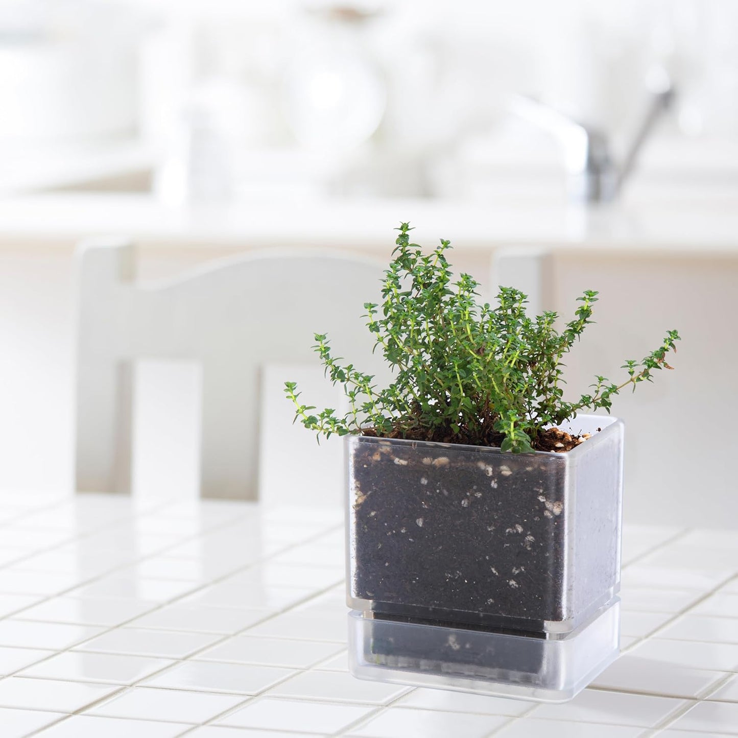 4 Inch Herb Planter Pot, Plastic Planter with Drainage Holes and Saucer, Modern Decorative Gardening Pot for Indoor Plants, Flowers, Herbs, Succulents, Clear, Set of 1, 76-Y-D-1