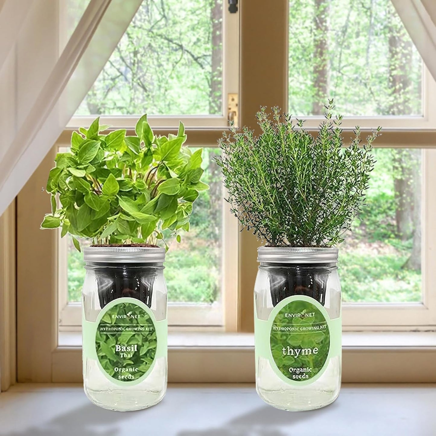 2-Pack Hydroponic Mason Jar Herb Garden Kit, Indoor Herb Garden Self-Watering Starter Kit (Thyme,Thai Basil)