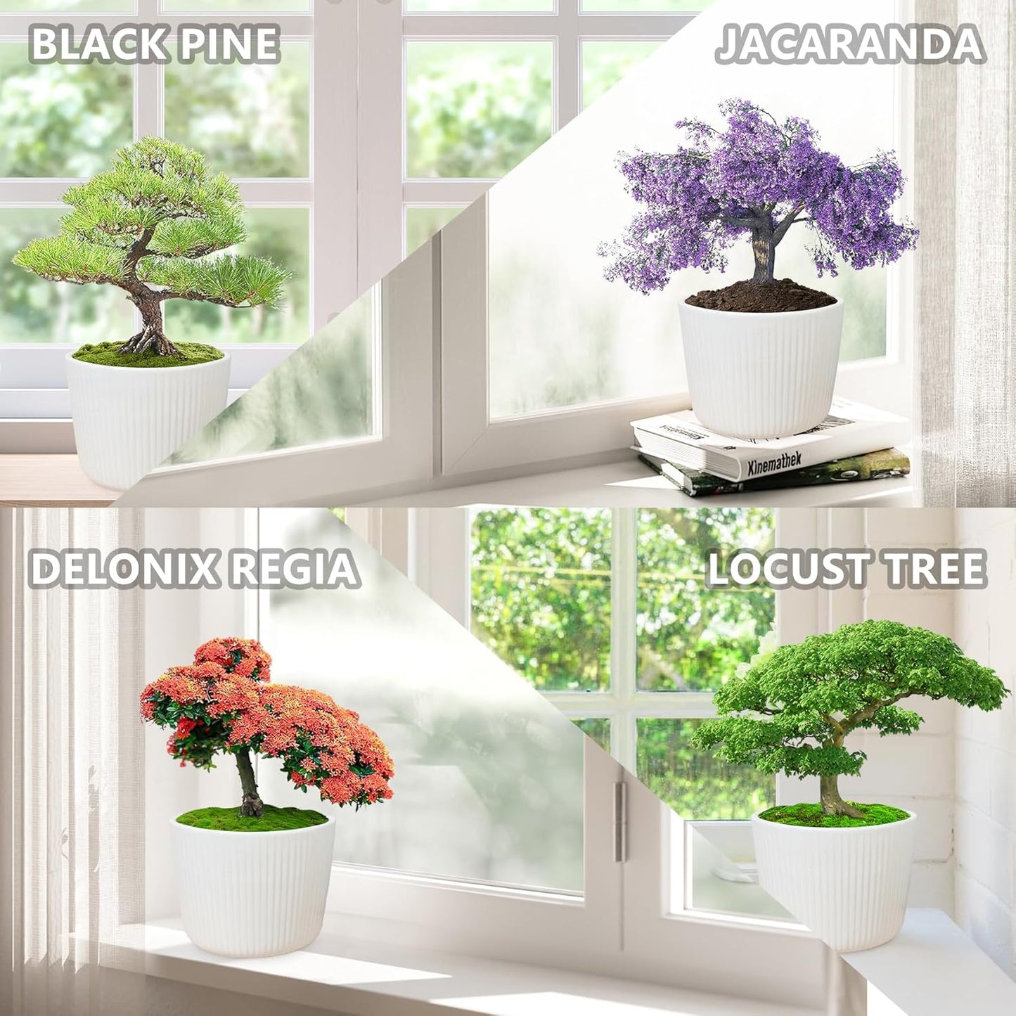 Bonsai Tree Kit – DIY Japanese Bonzai Trees with All-in-One Indoor Plant Growing Tools & Planters – Unique Gardening Gifts for Women, Men & Kids