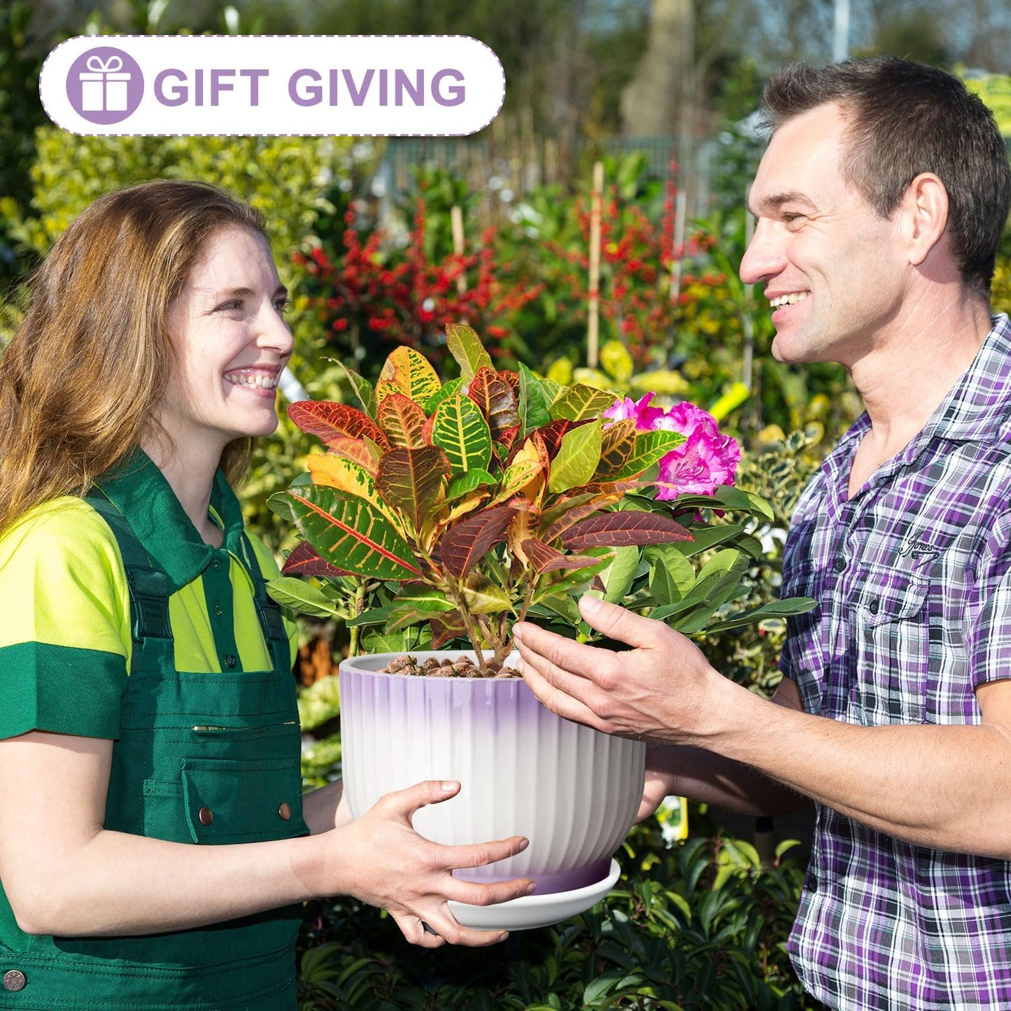 8 Inch Plant Pot, Ceramic Planter with Drainage and Saucer, Ceramic Pots for Plants, Indoor Plant pots,Ceramic Flower pots(Purple + White, Plants NOT Included)