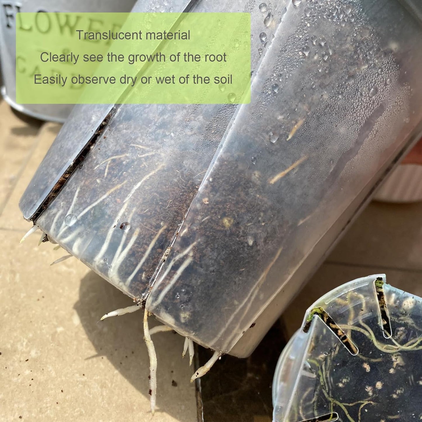 24 pcs 5/6 inch Clear Nursery pots with Trays,Thick Plastic Clear Plant pots with Drainage Holes and Saucers for Orchids,Succulents etc,Outdoor or Indoor use (5/6inch with 24 Trays)