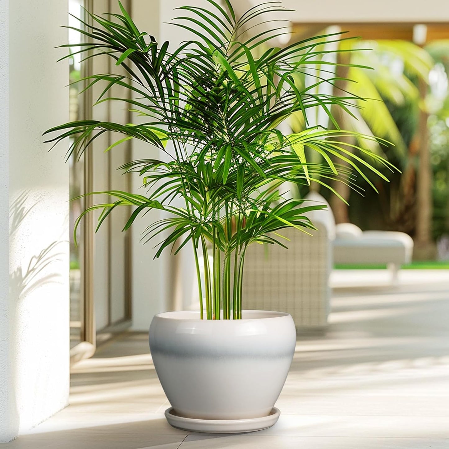 Ceramic Planter - 8 Inch Plant Pot with Drainage Hole and Saucer, Glaze Round Flower Pot for Home Garden Patio Office, White