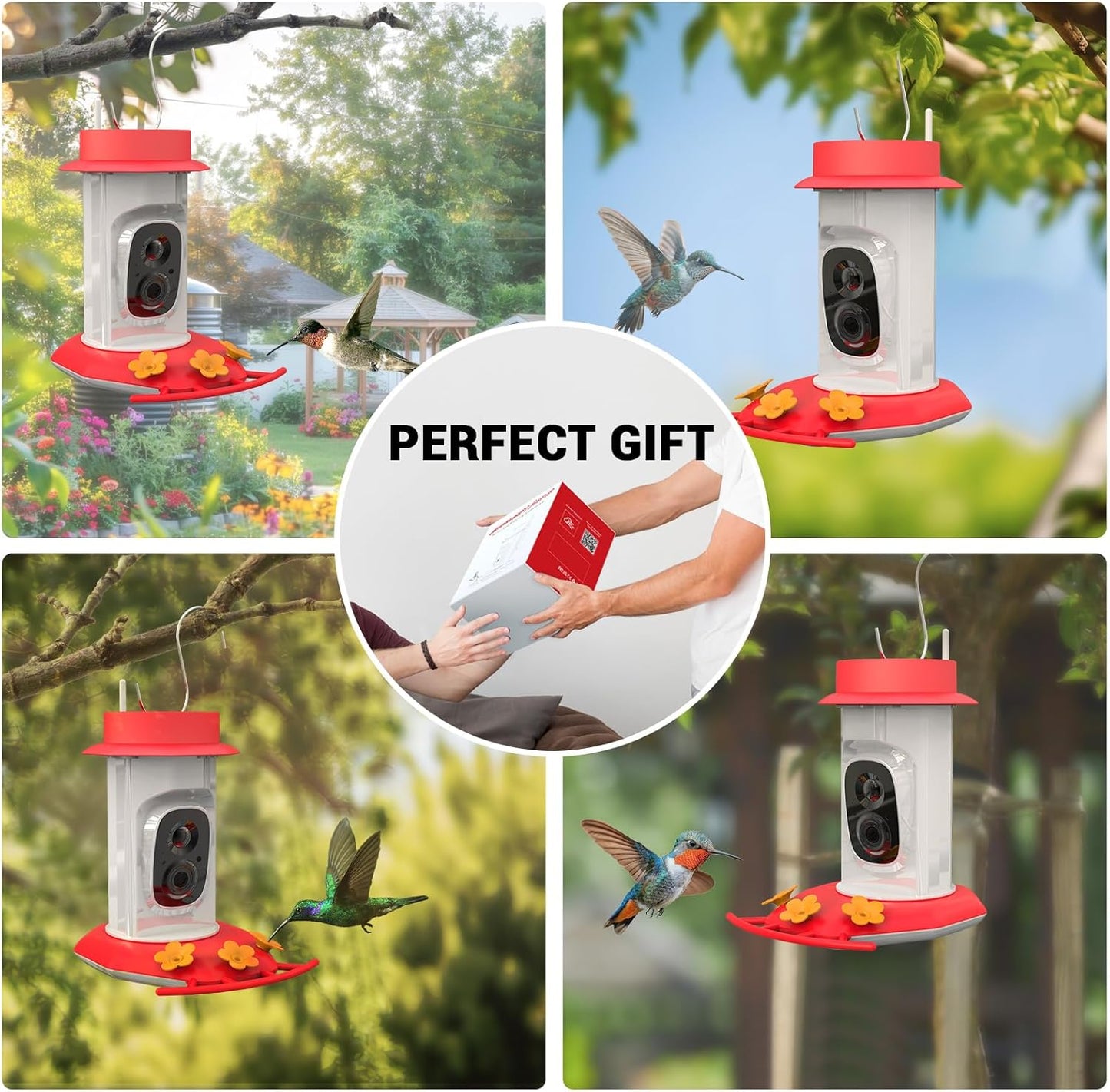 Hummingbird Feeder with Camera, AI Smart Identification Cloud Storage Function, Featuring Ant Moat Protection, Solar Power, Instant Notification, Automatic Bird Video Capture, and Motion Detection