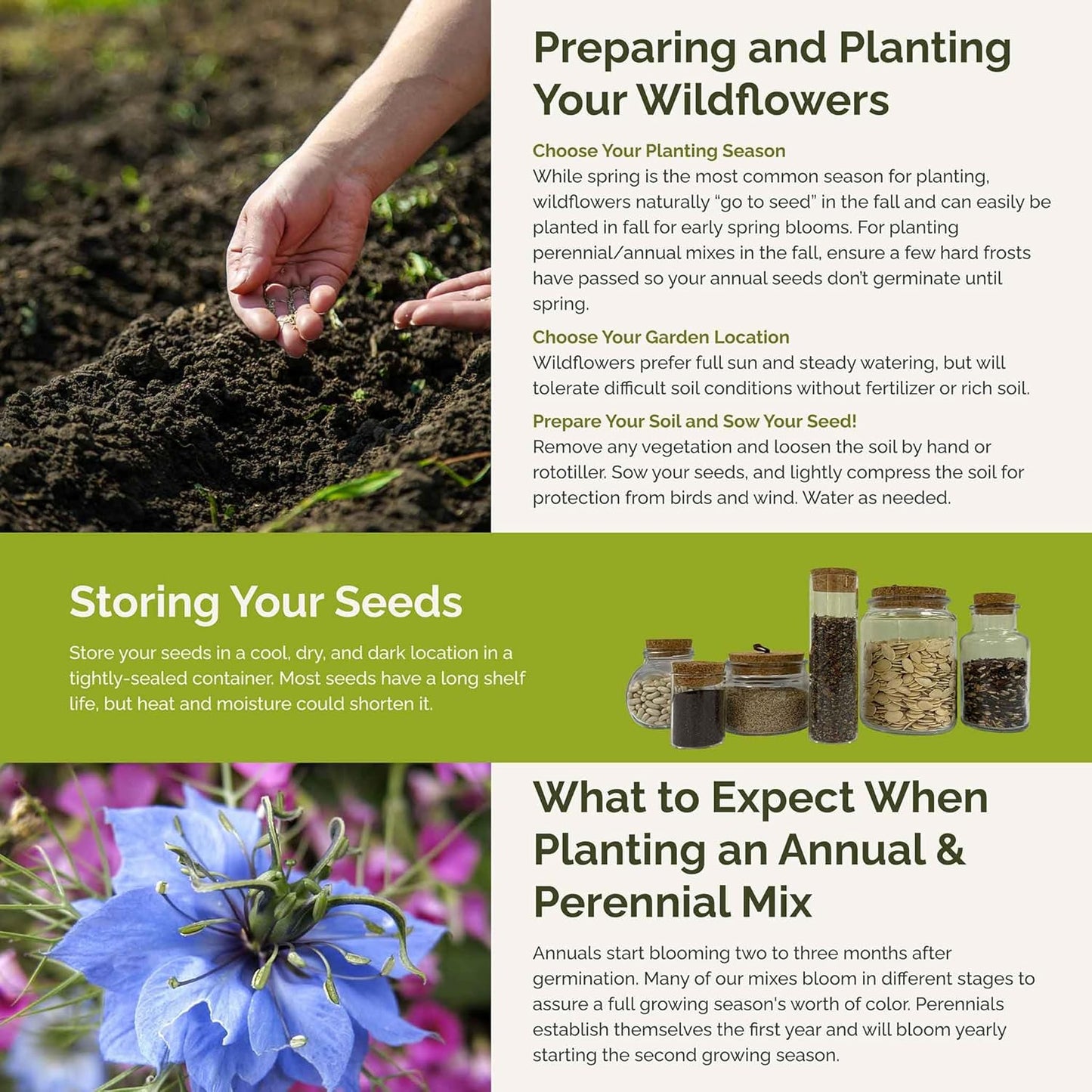 Eden Brothers Blue Ribbon Flower Mixed Seeds for Planting, 5 lb, 2,400,000+ Seeds with Blue Bell, Cornflower Blue, Chicory, Attracts Pollinators, Plant in Spring or Fall, Zones 3, 4, 5, 6, 7, 8, 9, 10