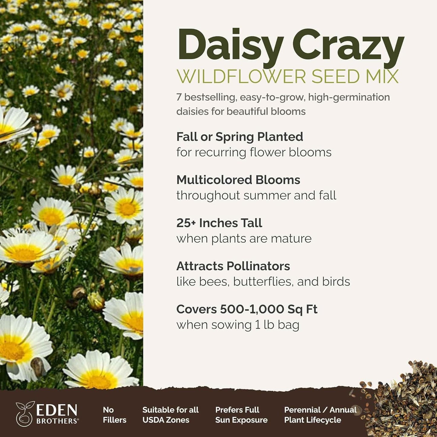 Eden Brothers Daisy Crazy Flower Mixed Seeds for Planting, 1 lb, 480,000+ Seeds with Creeping, Painted, Yellow Daisy | Attracts Pollinators, Plant in Spring or Fall, Zones 3, 4, 5, 6, 7, 8, 9, 10