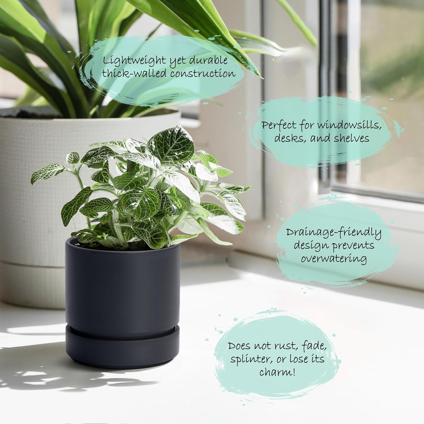 Phoenix Vine 4 Inch Planter Pot with Drainage Hole & Saucer, Deep Water Catch Tray, Straight Cylindrical Round Pot for Plants, Matte Black, Pack of 4, 23-C-R-4