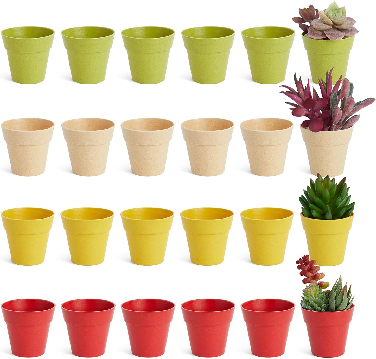 Juvale 24 Pack Tiny Plastic Pots for Plants 1.5 Inch - Mini Planters for Flowers, Succulents (4 Colors), 6.4 x 6.4 x 5.7 cm - Plant Pots