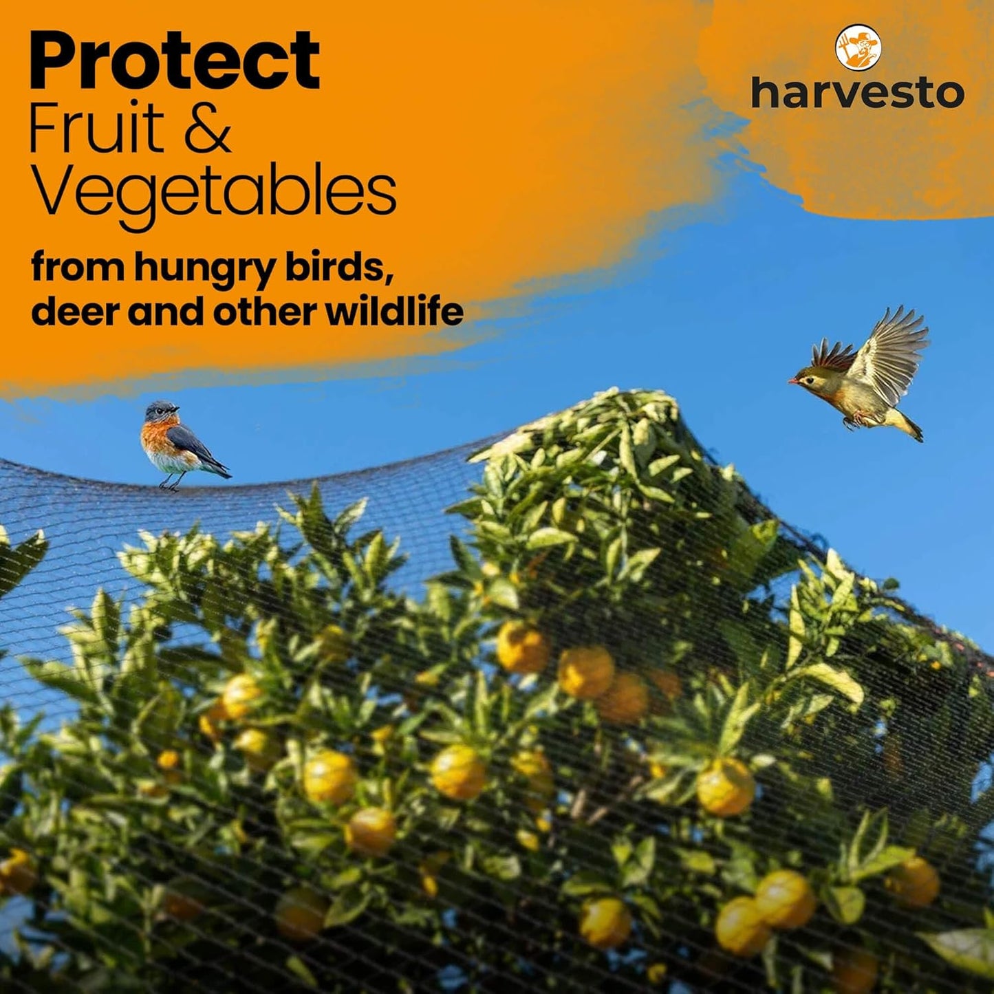 Heavy Duty Bird Netting for Chicken Coops & Runs | Tree & Garden Netting Mesh 1-1/2" | Keep Hawks, Birds & Predators Away | Bird Netting for Blueberry Bushes, Vegetables & Fruit (50' x 100')