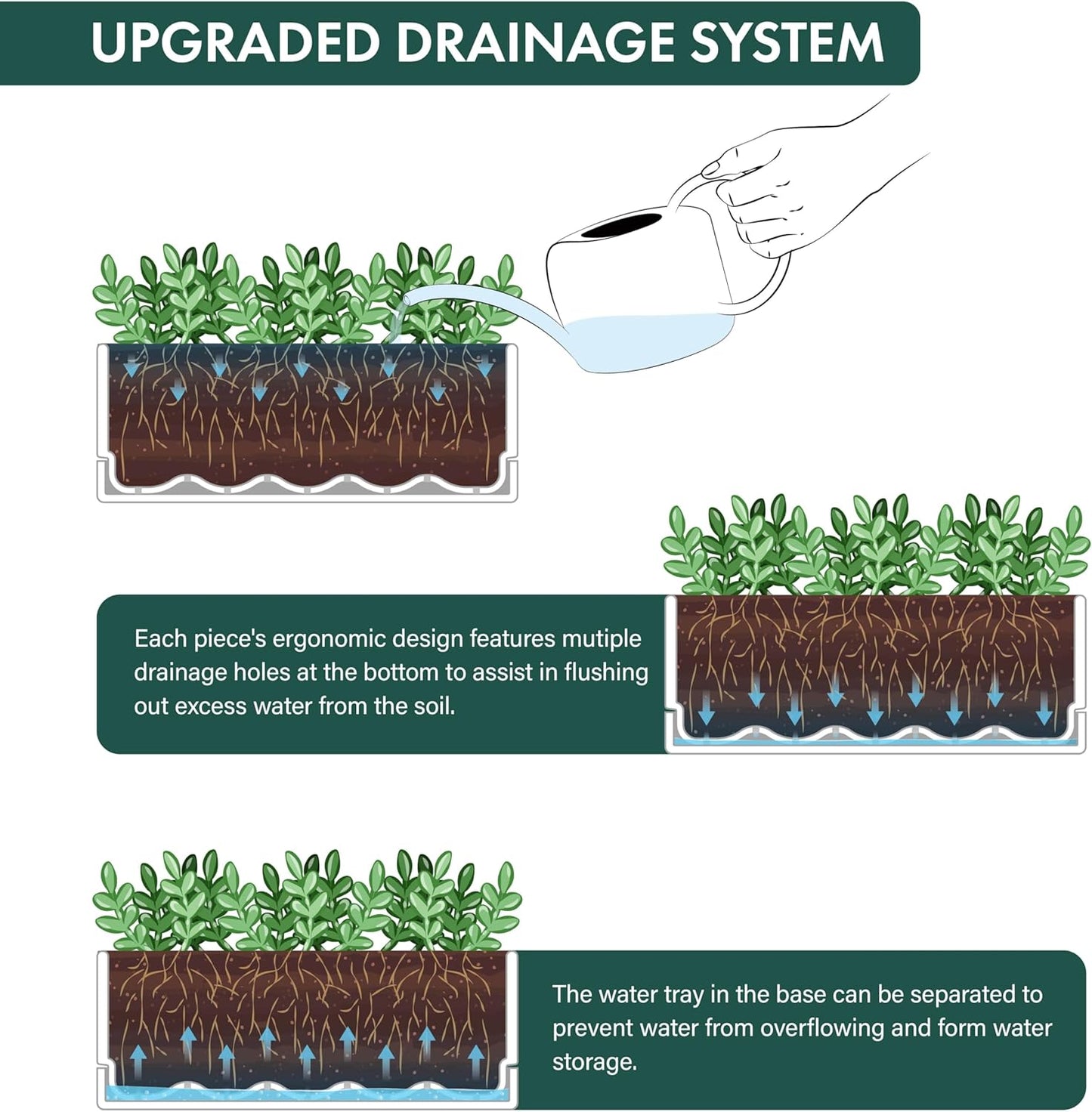 D'vine Dev 12 Inch Window Box Planter, Rectangle Plastic Herb Planter with Drainage Holes and Saucer, Indoor Succulent Cactus Vegetable Pot for Windowsill, Garden Balcony, Clear, Set of 2, 76-X-D-2