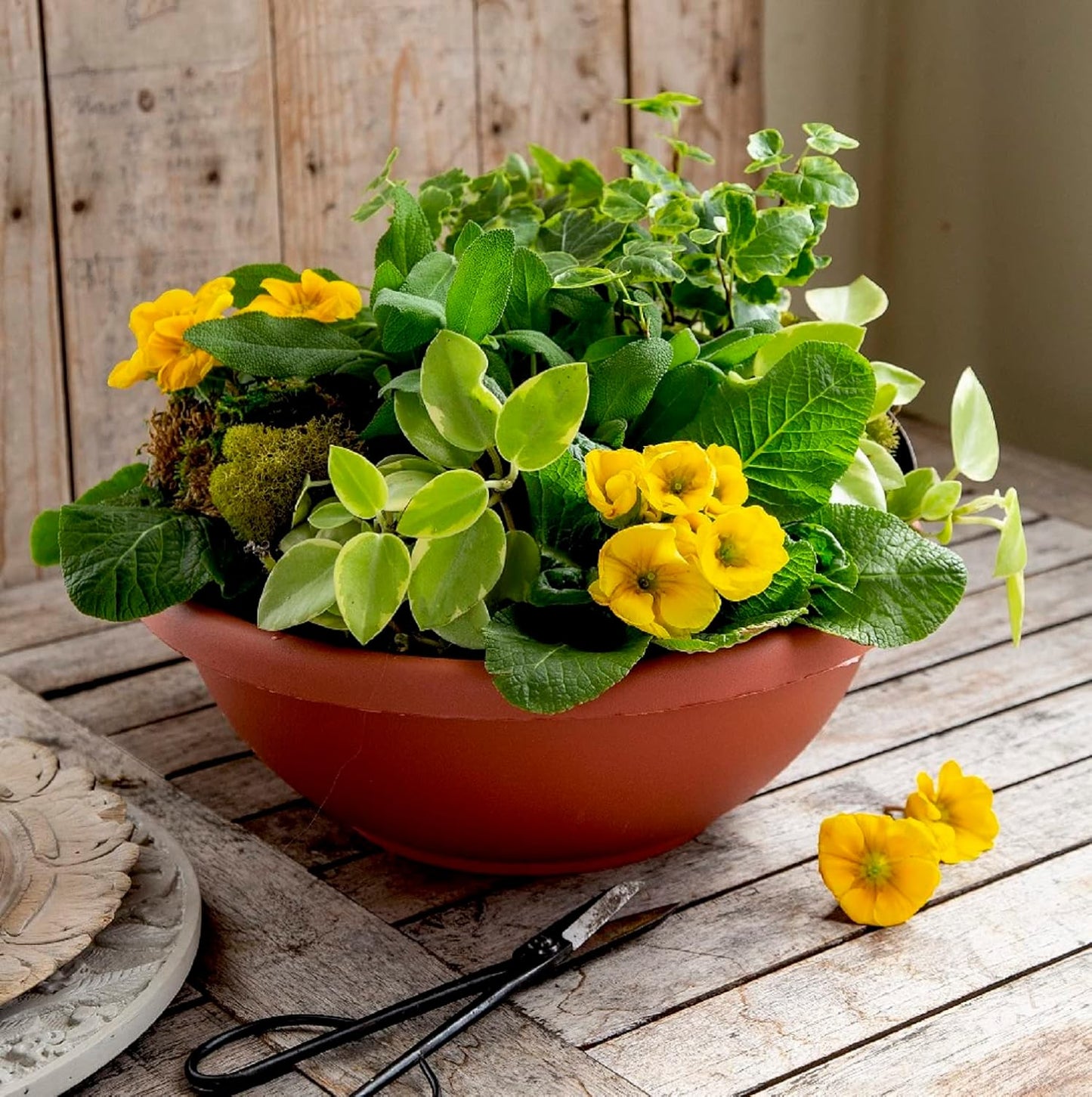 The HC Companies 20 Inch Large Garden Bowl Planter - Shallow Plant Pot with Drainage Plug for Indoor Outdoor Flowers, Herbs, Chocolate