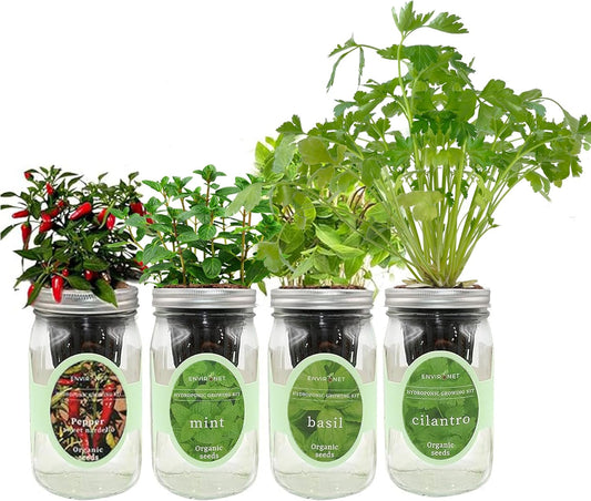 Hydroponic Mason Jar Indoor Garden Organic Seed Starter Kits - Taste of Asia Garden Growing Kits, Gardening Gift (Sweet Nardello Pepper, Mint, Thai Basil, Cilantro)