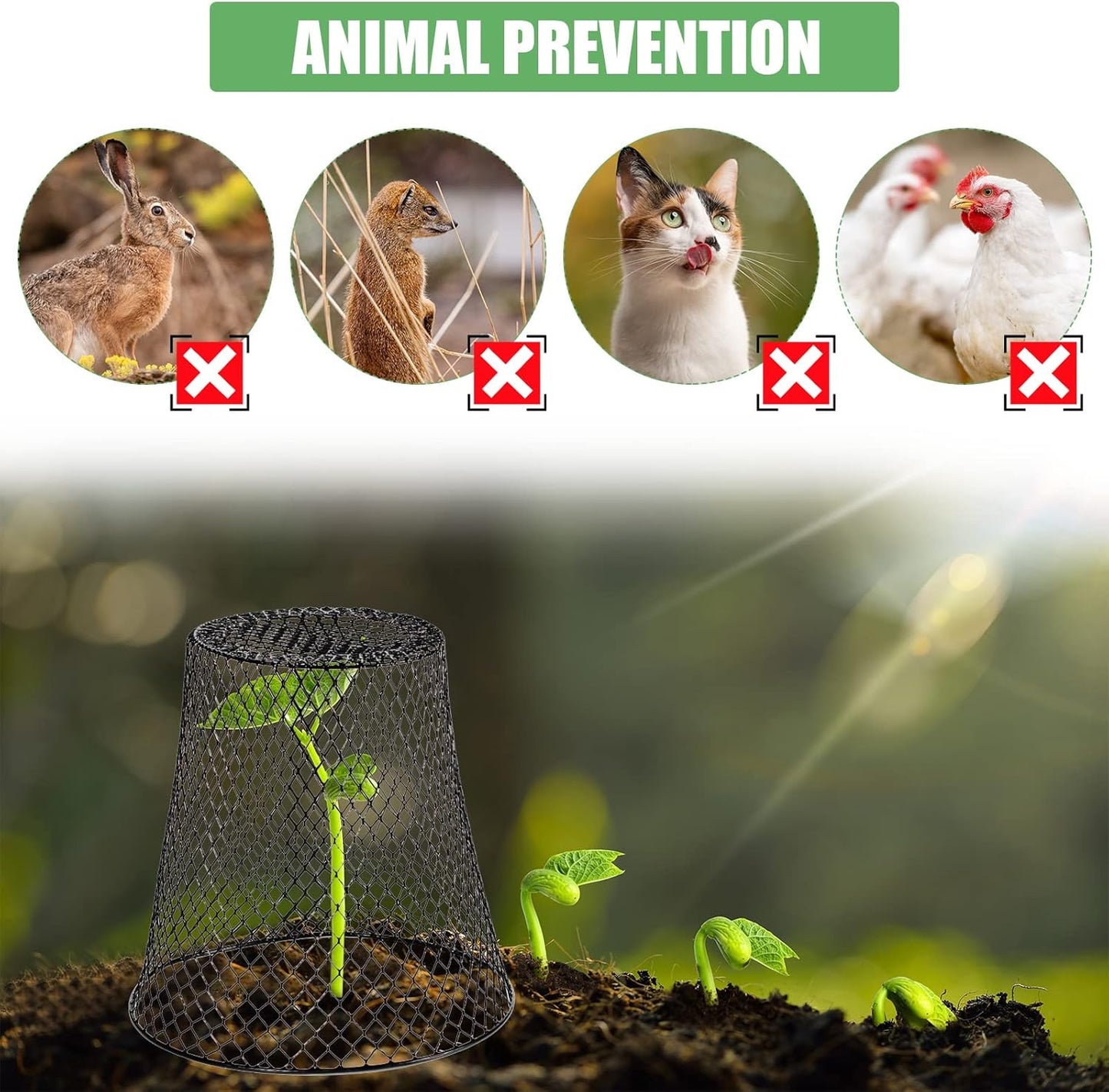 20 Pcs 9×9inch Chicken Wire Plant Covers Wire Garden Cloches Chicken Wire Cloche Plant Protector Metal Heavy Duty Garden Plant Cloche for Keeping Bunnies Chicken Squirrels Birds Other Out