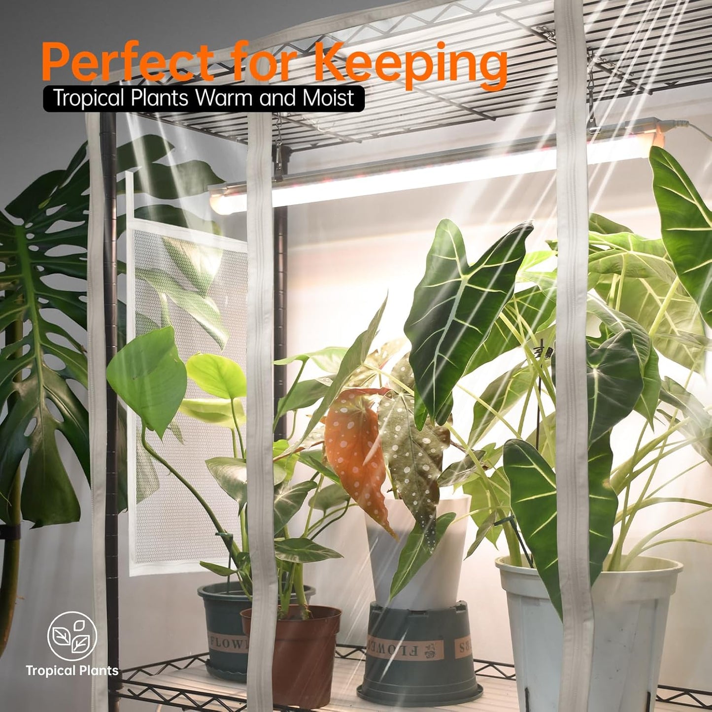 Indoor Greenhouse with Grow Light, Metal Plant Stand, 3 Pack T8 2FT Full Spectrum Plant Lights, Timer, Black, 23.5"x13.8"x59"