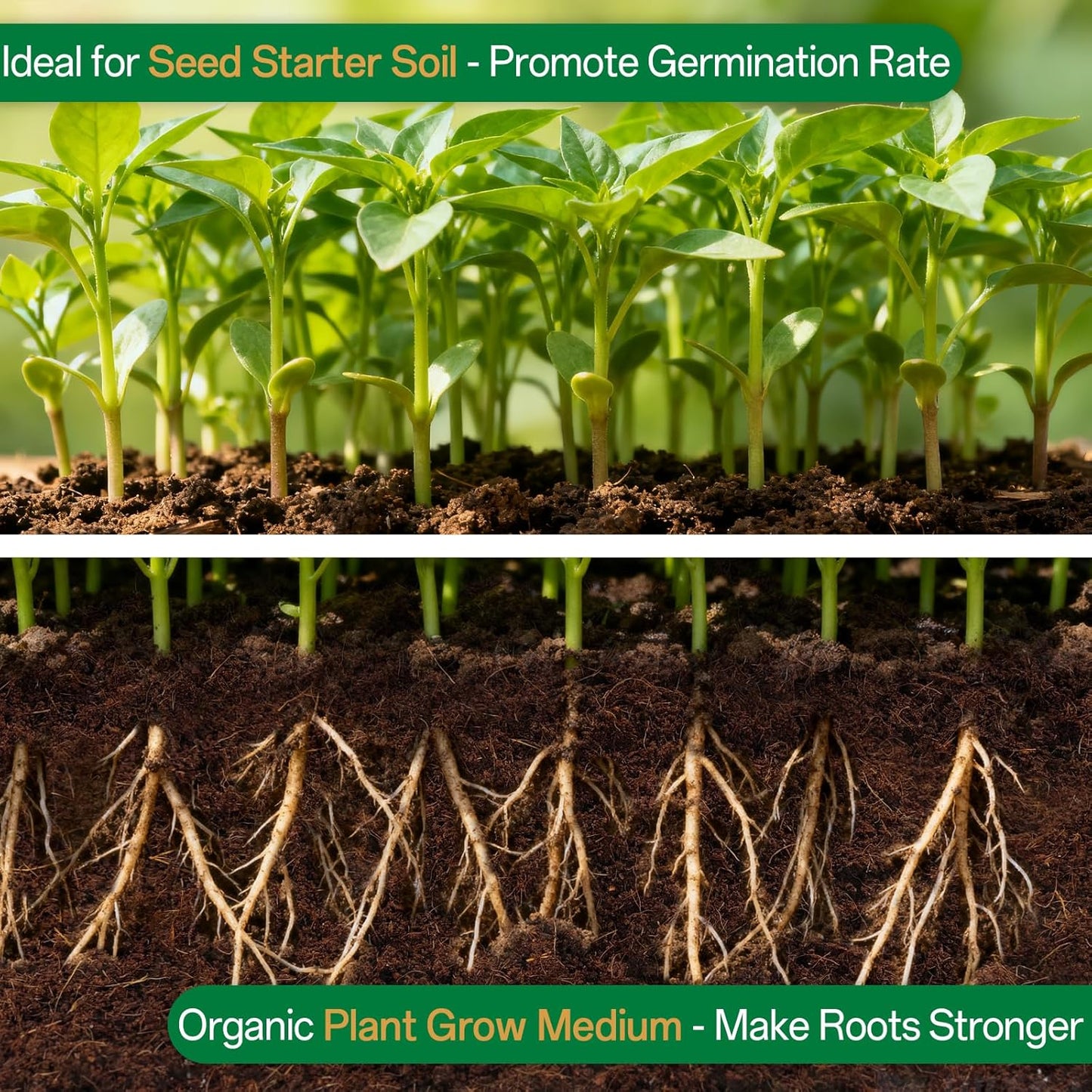 ZeeDix 4 Pcs Premium Coco Coir Brick - 100% Organic Compressed Coconut Coir Starting Mix, Coco Fiber with Low EC and PH Balance for Gardening, Potting Soil, Herbs