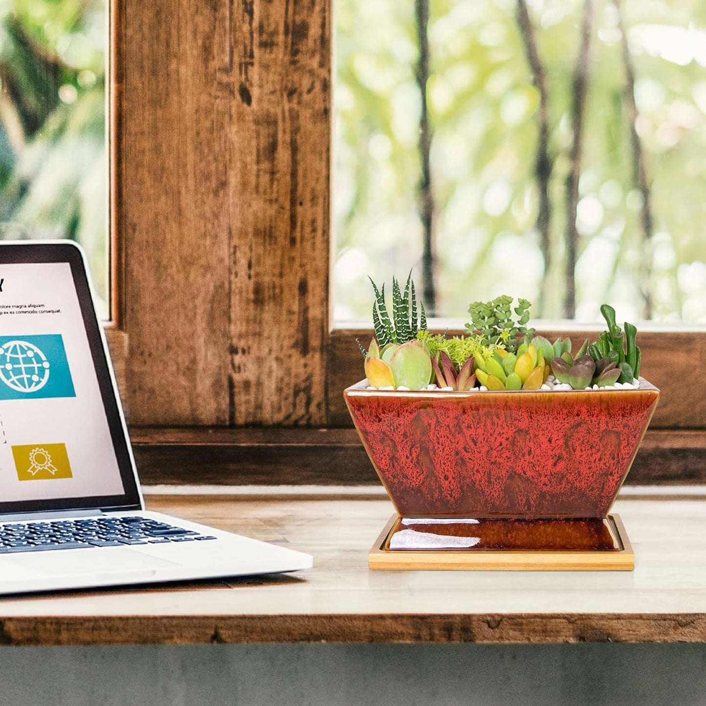 ARTKETTY Succulent Pots - 7 Inch Large Plant Pot with Drainage, Shallow Ceramic Succulent Planters for Indoor Outdoor Plants, Modern Cactus Bonsai Plant Container Decorative Home Office