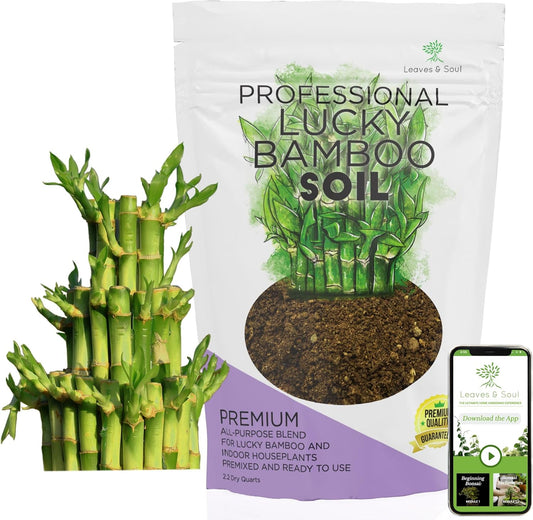 Professional Lucky Bamboo Soil | Large 2.2 Quarts Ready to Use for Lucky Bamboo Plants | Peat Moss, Coco Coir, Perlite, Dolomite | Made in USA