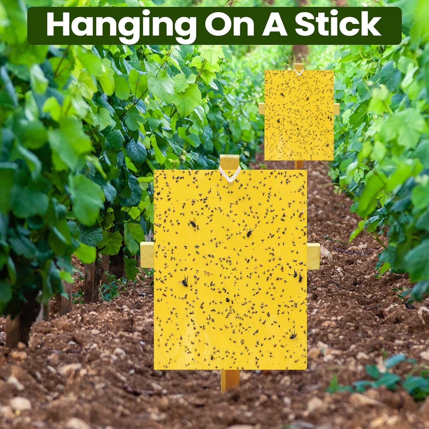 Qualirey 700 Pcs 6 x 8 Inch Yellow Sticky Traps for Plant Double Sided Sticky Trap for Gnats with Twist Ties Sticky Fly Traps for Fruit Insect Fungus Bugs Indoor Outdoor