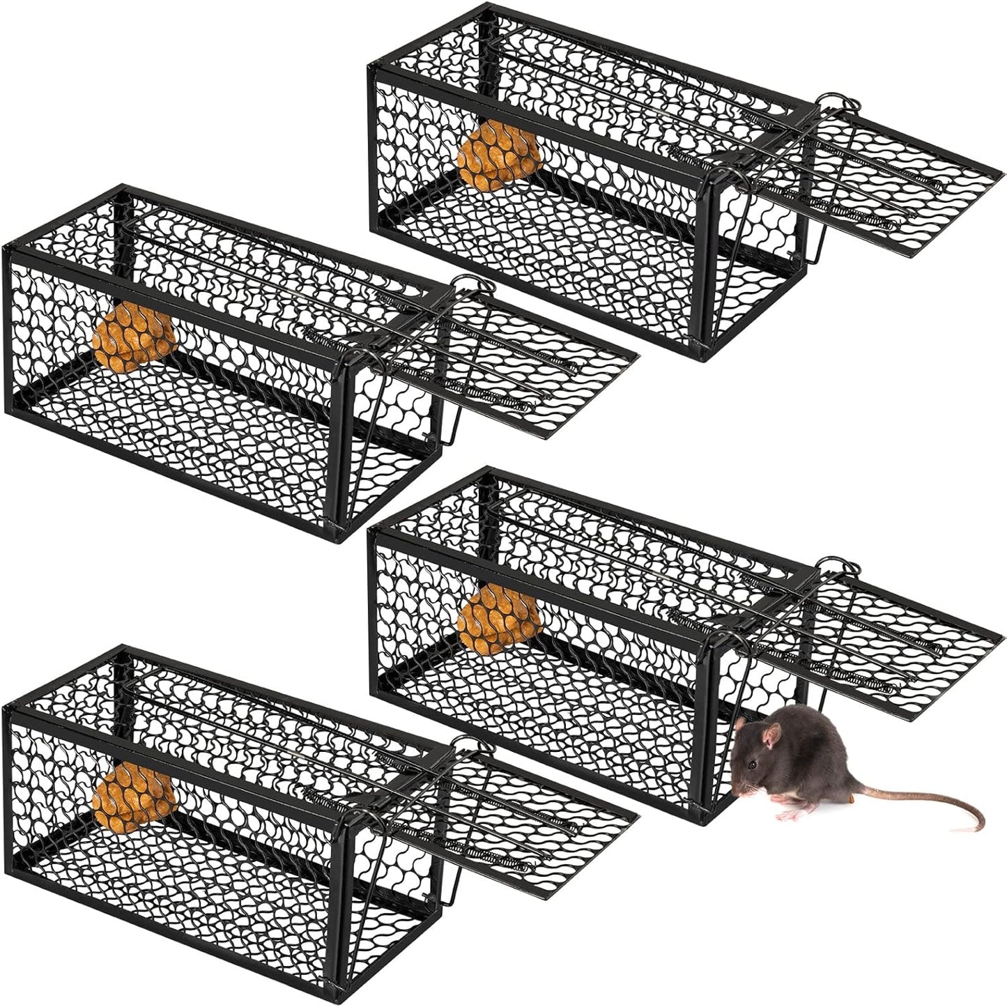 Qualirey 4 Pcs Humane Rat Trap Chipmunk Rodent Mouse Squirrel Trap Small Live Animal Mouse Voles Hamsters Live Cage Rat Cage for Mice Easy to Catch and Release (Black)