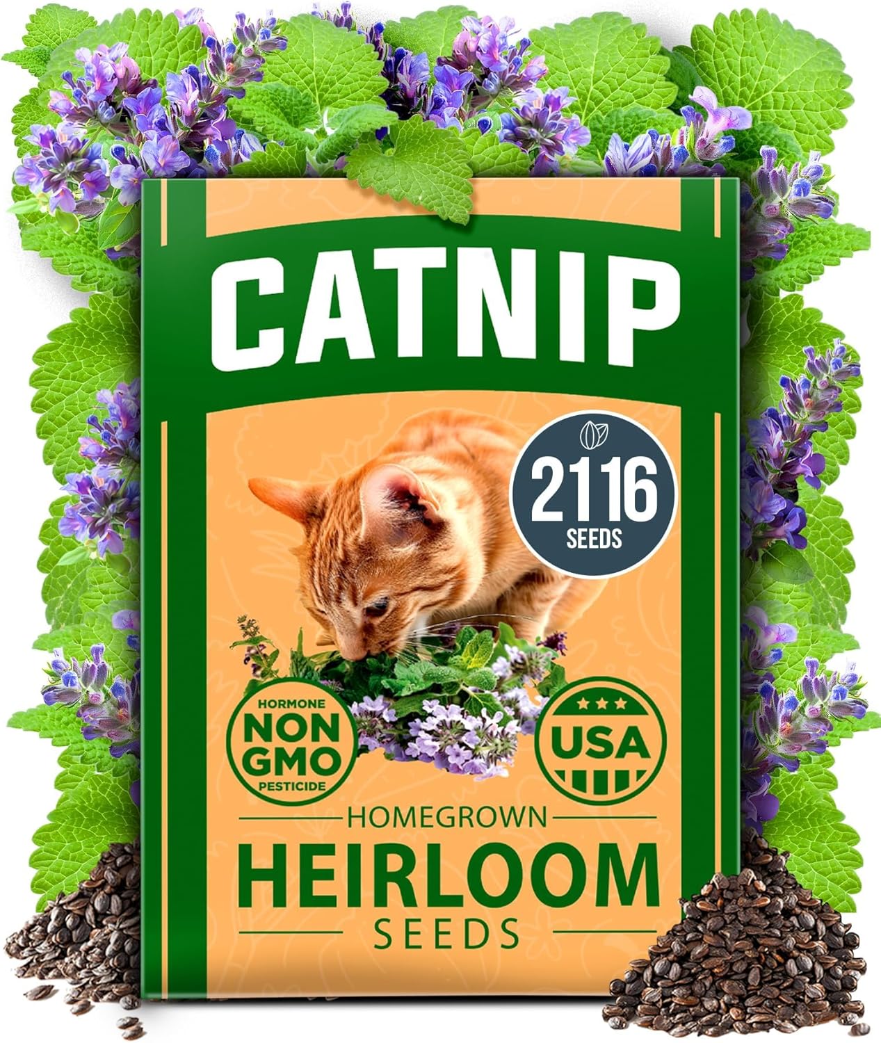 HOME GROWN 𝗨𝗦𝗔 𝗣𝗥𝗘𝗠𝗜𝗨𝗠 Catnip Seeds (Bulk Pack) 𝗡𝗢𝗡-𝗚𝗠𝗢 Heirloom Herb 2,116 Seeds - Indoor or Outdoor Seed - High-Germination Cat Nip - Cat Safe Plants (Nepeta cataria)